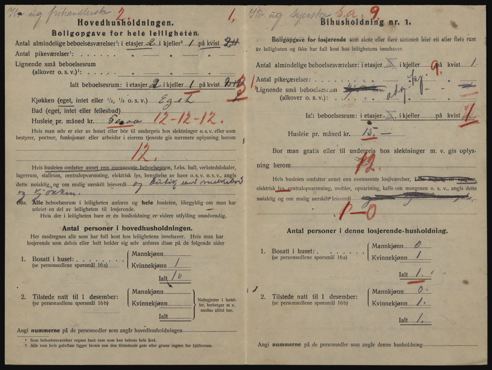 SAO, 1920 census for Drøbak, 1920, p. 1100