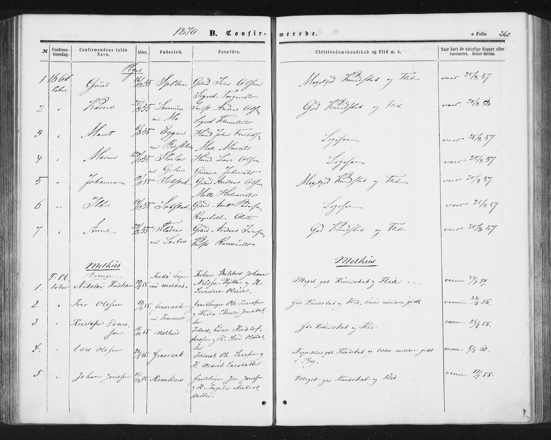 Ministerialprotokoller, klokkerbøker og fødselsregistre - Sør-Trøndelag, AV/SAT-A-1456/691/L1077: Parish register (official) no. 691A09, 1862-1873, p. 260