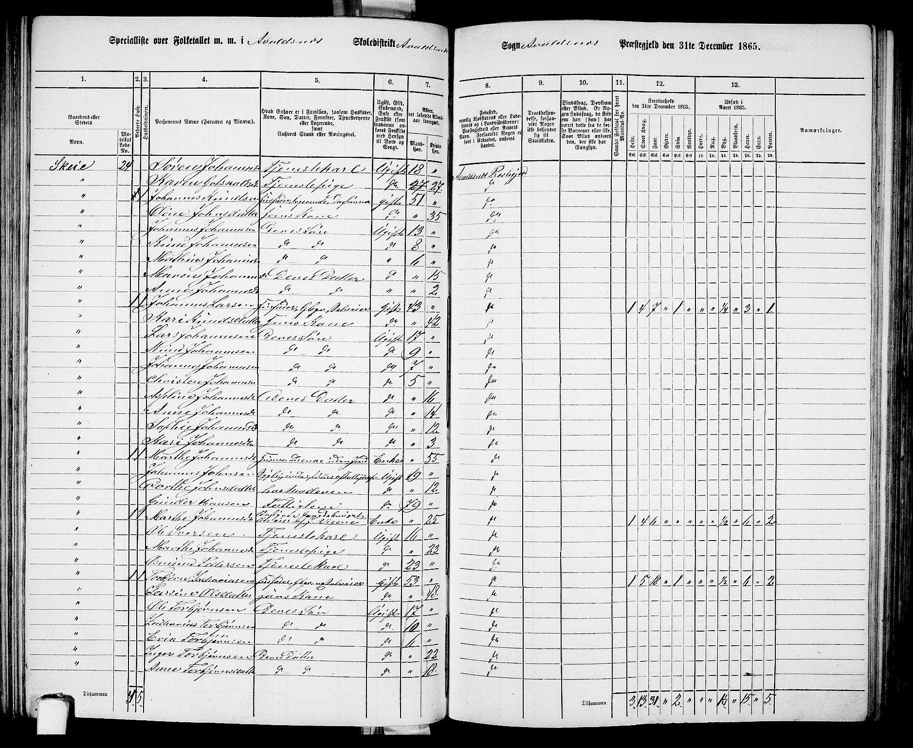 RA, 1865 census for Avaldsnes, 1865, p. 102