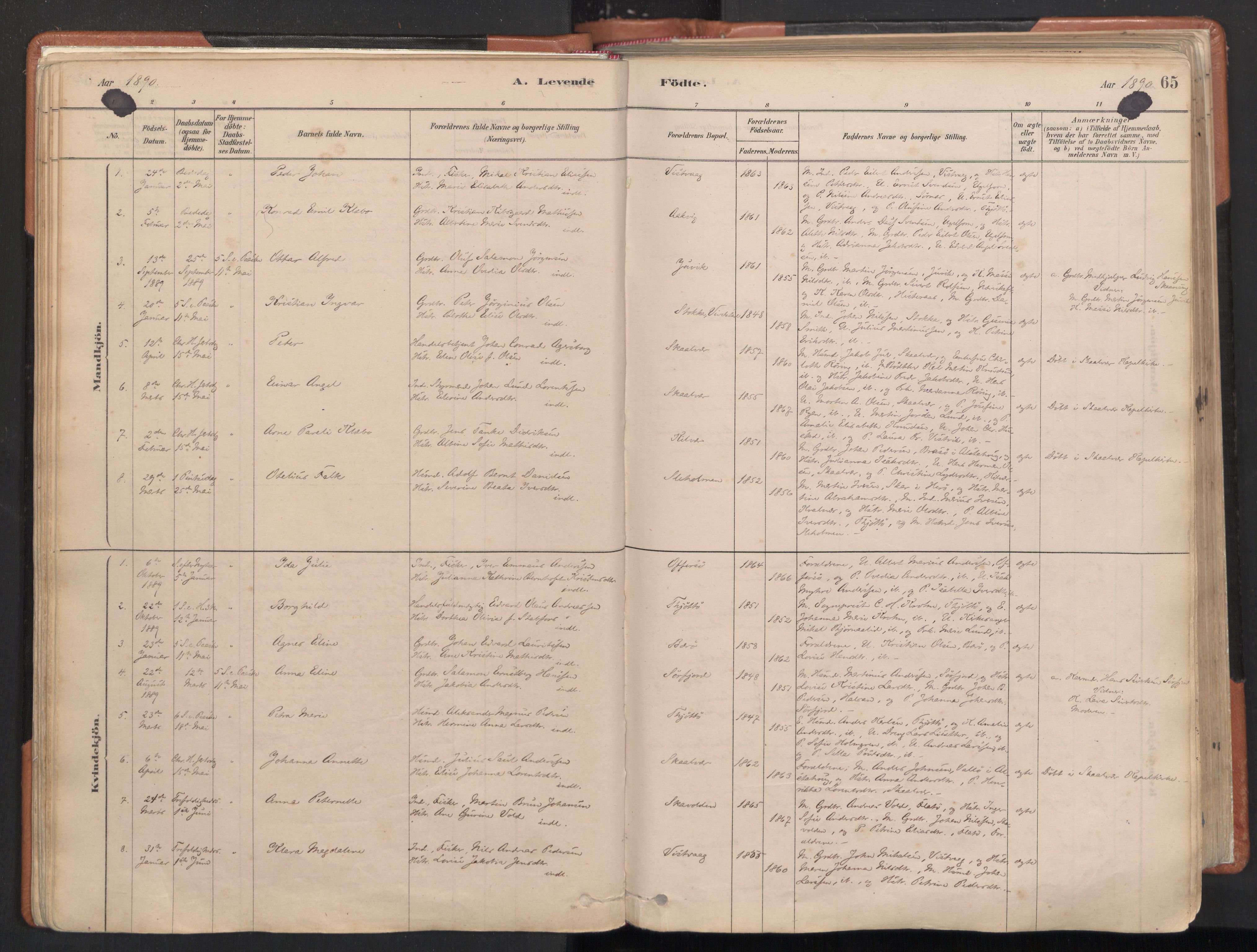 Ministerialprotokoller, klokkerbøker og fødselsregistre - Nordland, SAT/A-1459/817/L0264: Parish register (official) no. 817A04, 1878-1907, p. 65
