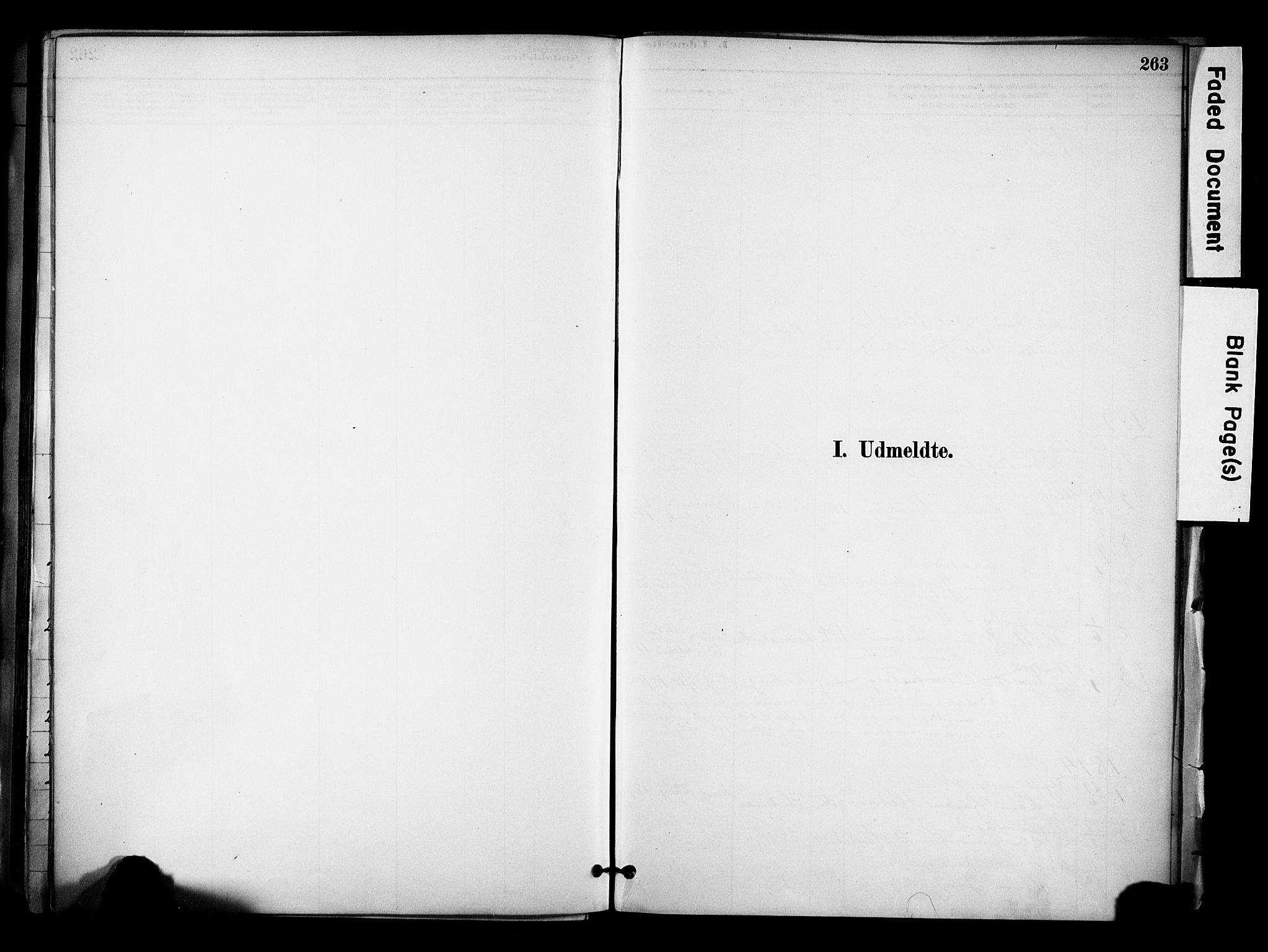 Jelsa sokneprestkontor, SAST/A-101842/01/IV: Parish register (official) no. A 10, 1884-1906, p. 263