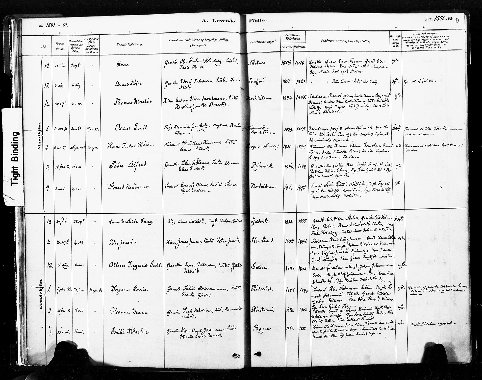 Ministerialprotokoller, klokkerbøker og fødselsregistre - Nord-Trøndelag, SAT/A-1458/789/L0705: Parish register (official) no. 789A01, 1878-1910, p. 9