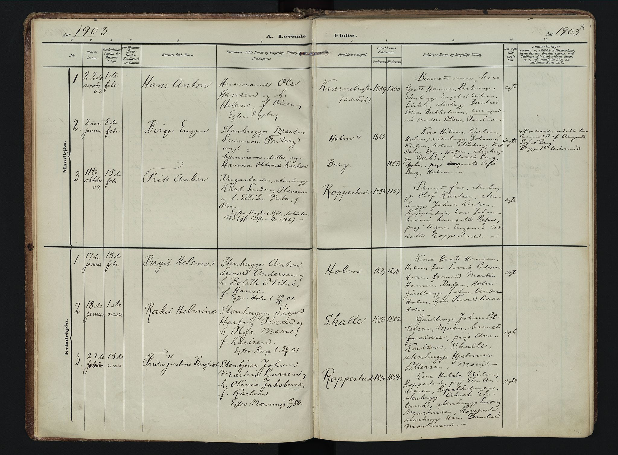 Borge prestekontor Kirkebøker, AV/SAO-A-10903/F/Fb/L0004: Parish register (official) no. II 4, 1902-1914, p. 8