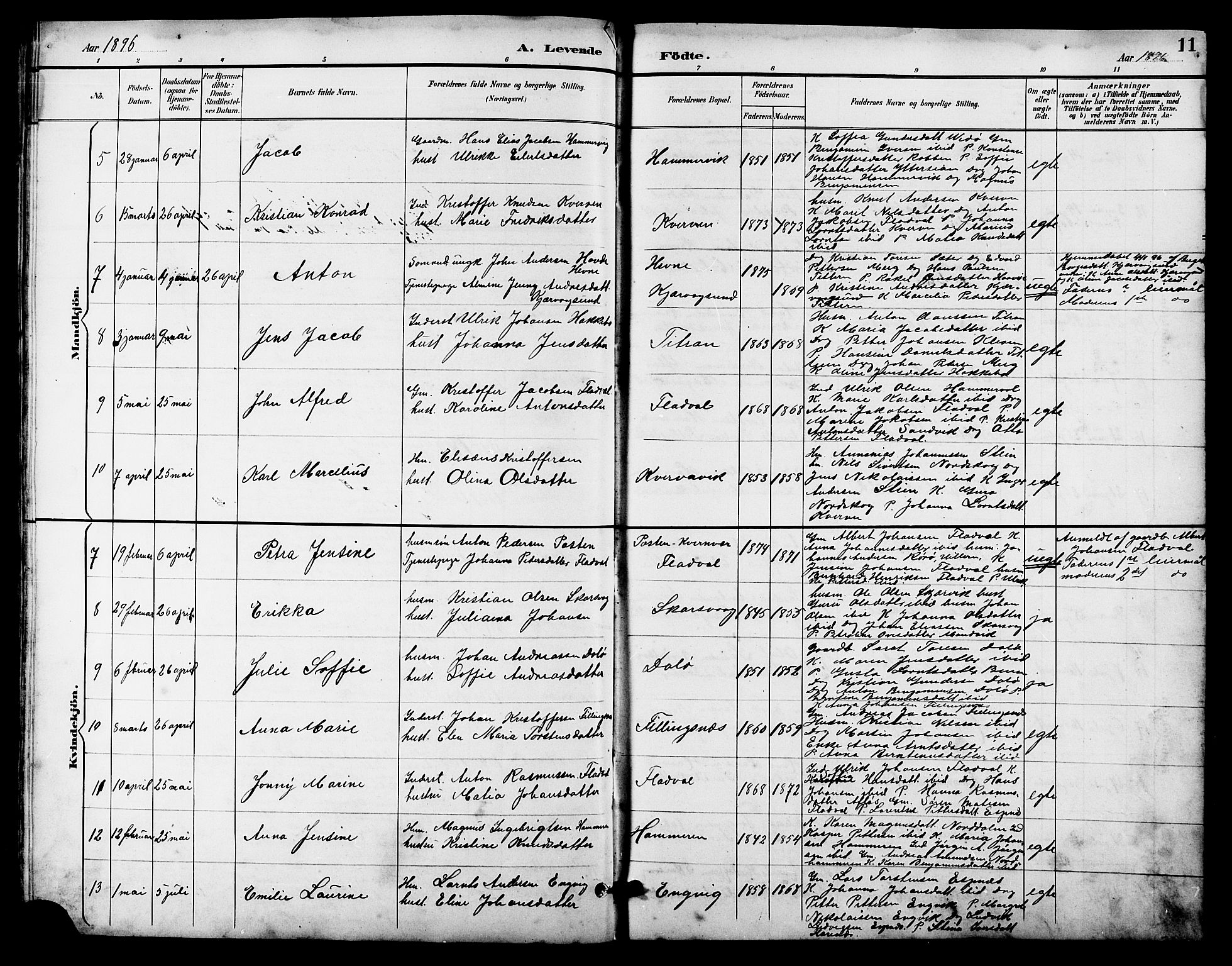 Ministerialprotokoller, klokkerbøker og fødselsregistre - Sør-Trøndelag, SAT/A-1456/641/L0598: Parish register (copy) no. 641C02, 1893-1910, p. 11