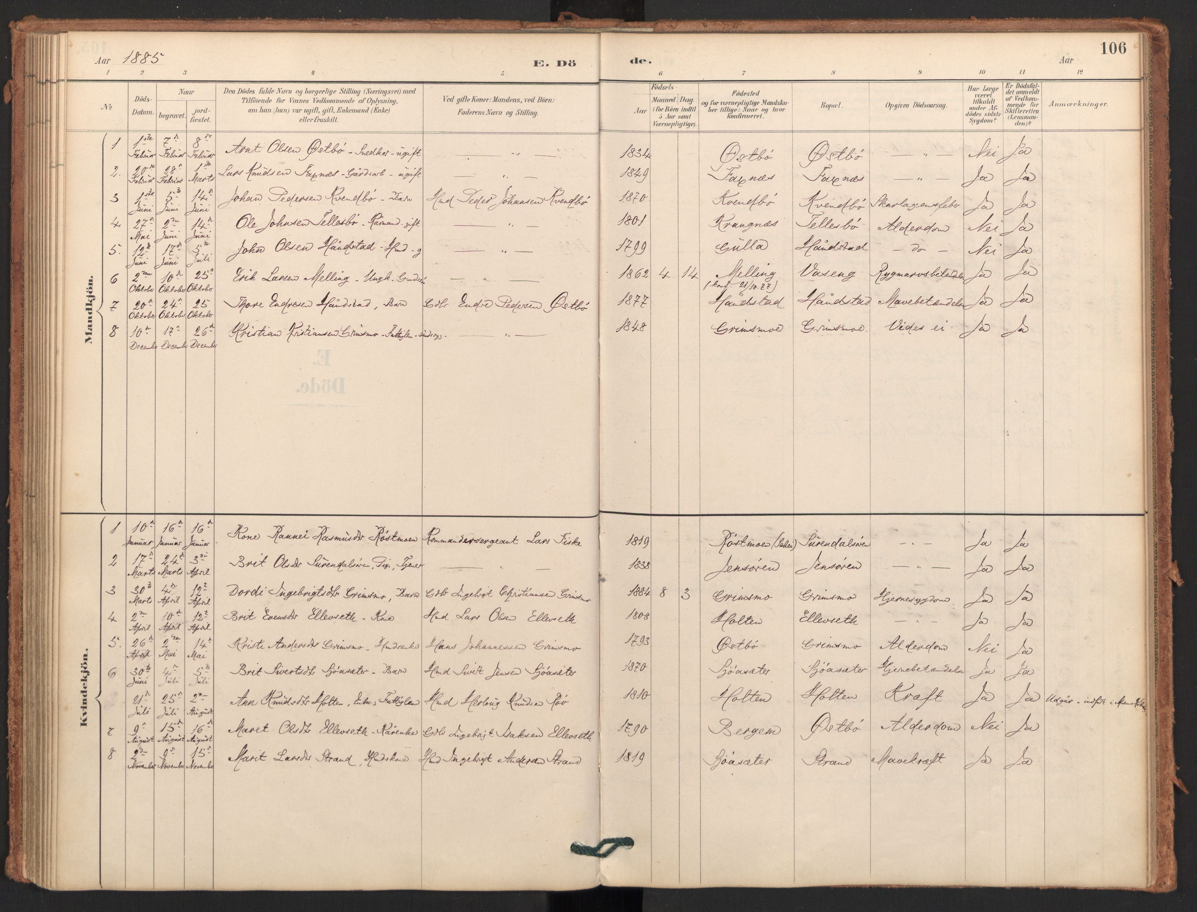 Ministerialprotokoller, klokkerbøker og fødselsregistre - Møre og Romsdal, AV/SAT-A-1454/596/L1056: Parish register (official) no. 596A01, 1885-1900, p. 106