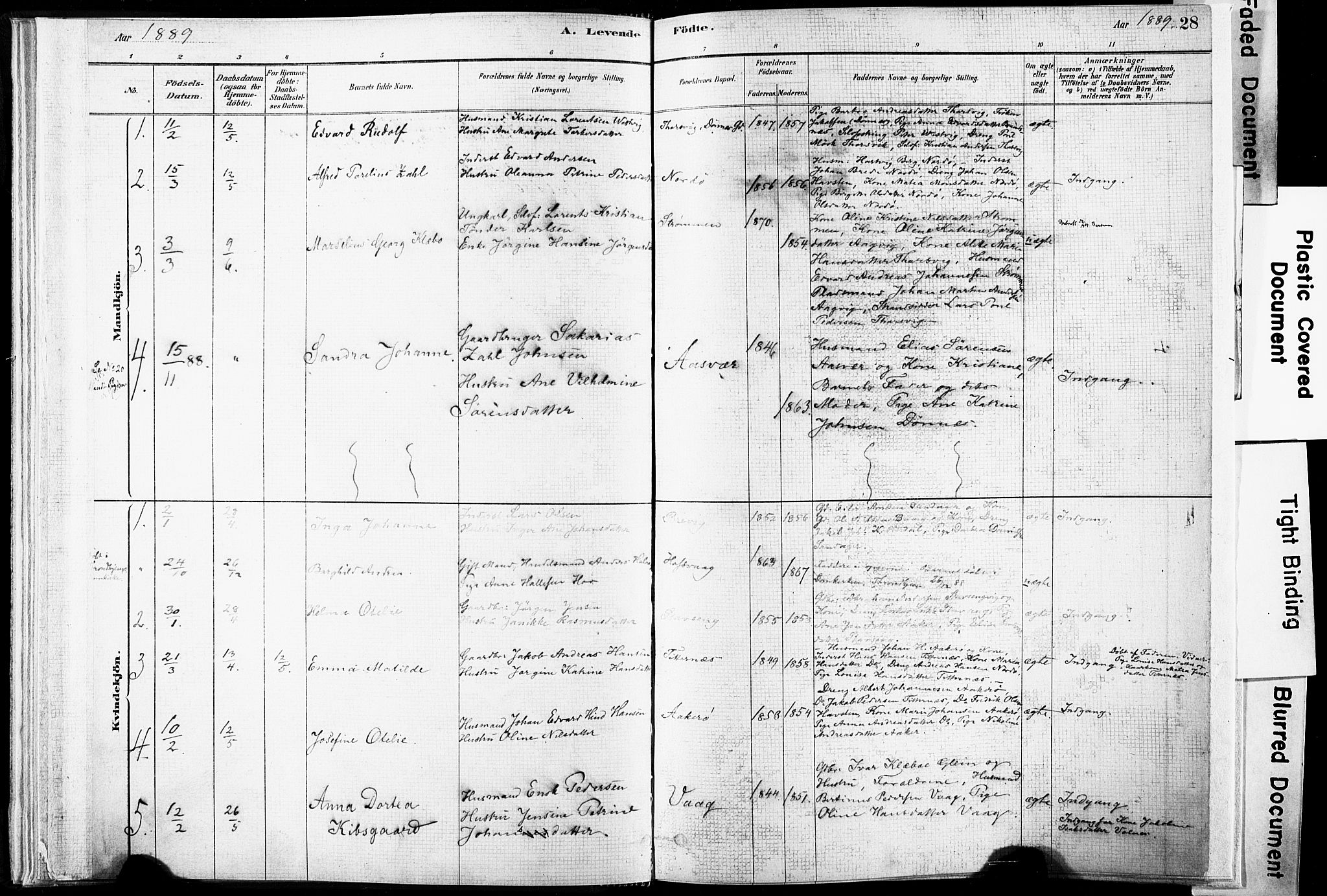 Ministerialprotokoller, klokkerbøker og fødselsregistre - Nordland, SAT/A-1459/835/L0525: Parish register (official) no. 835A03I, 1881-1910, p. 28