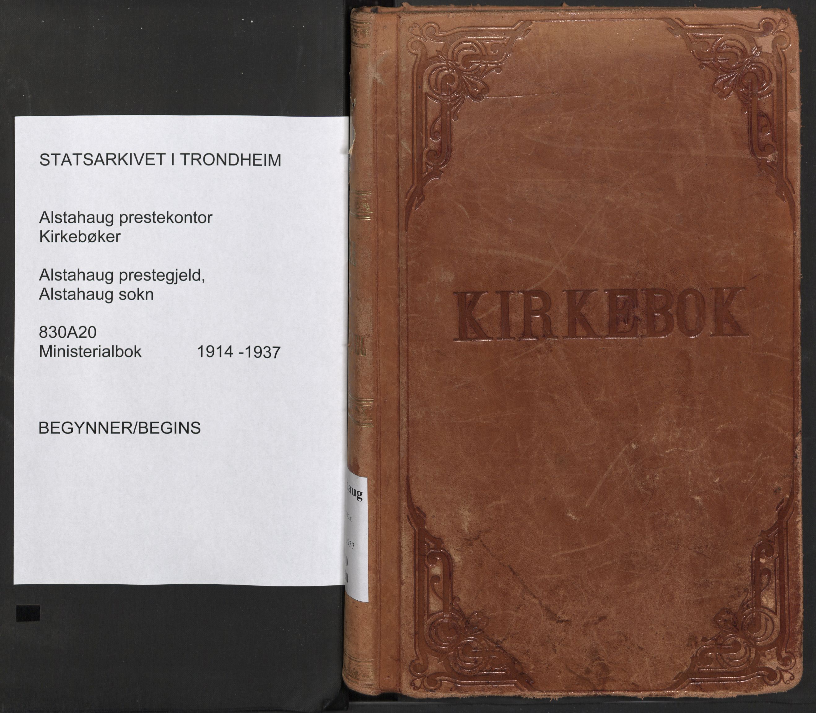 Ministerialprotokoller, klokkerbøker og fødselsregistre - Nordland, SAT/A-1459/830/L0456: Parish register (official) no. 830A20, 1914-1937