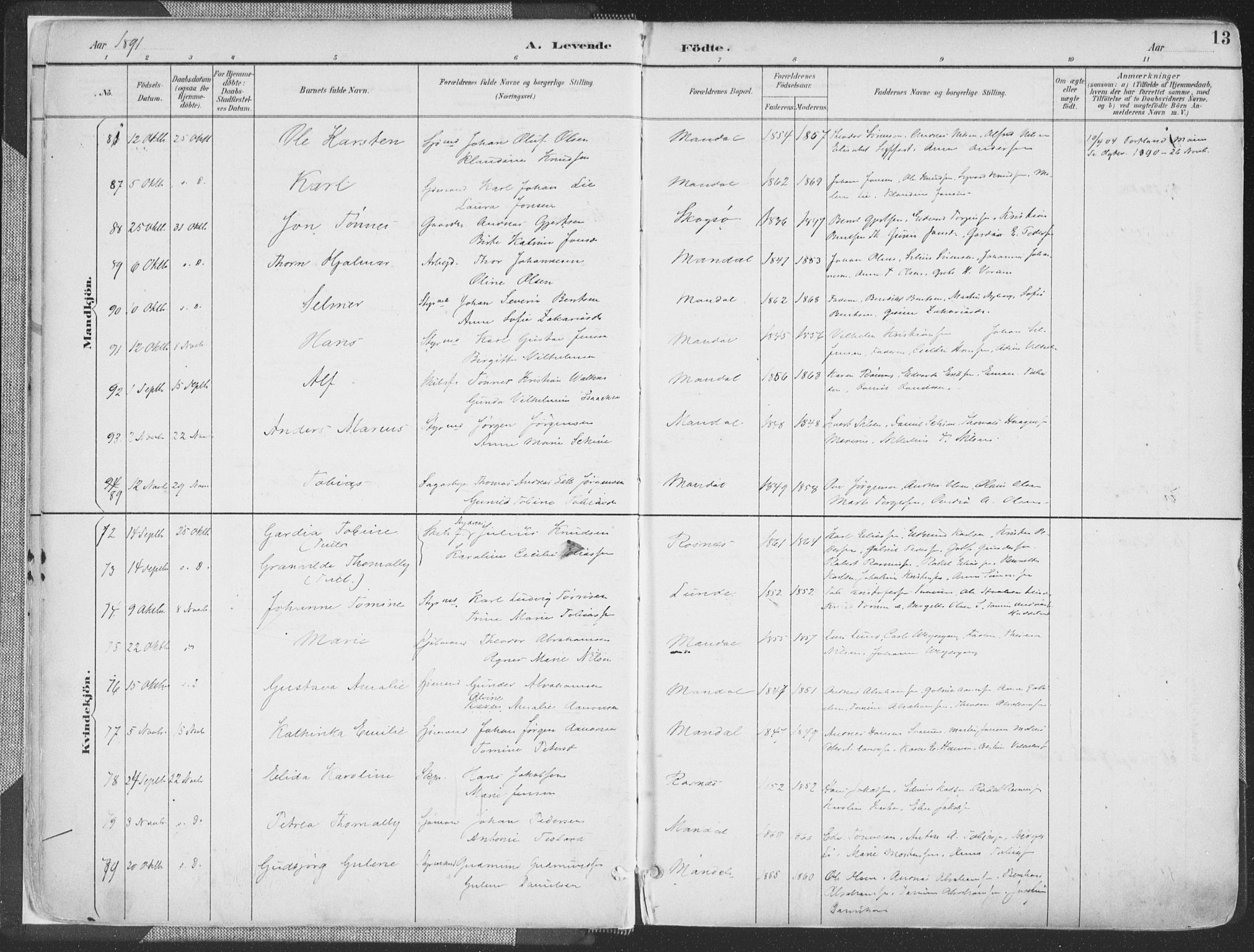 Mandal sokneprestkontor, AV/SAK-1111-0030/F/Fa/Faa/L0018: Parish register (official) no. A 18, 1890-1905, p. 13