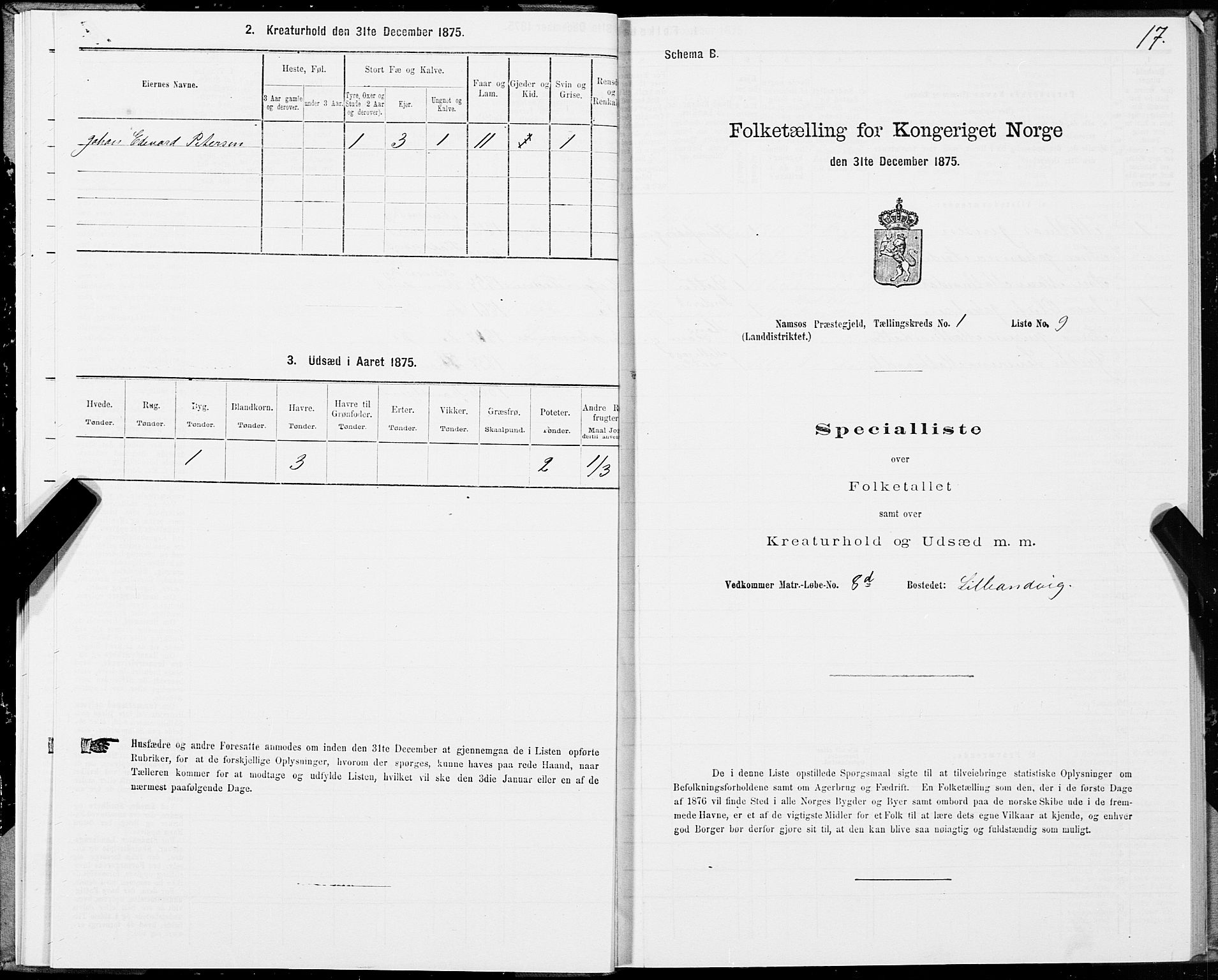 SAT, 1875 census for 1745L Namsos/Vemundvik og Sævik, 1875, p. 1017
