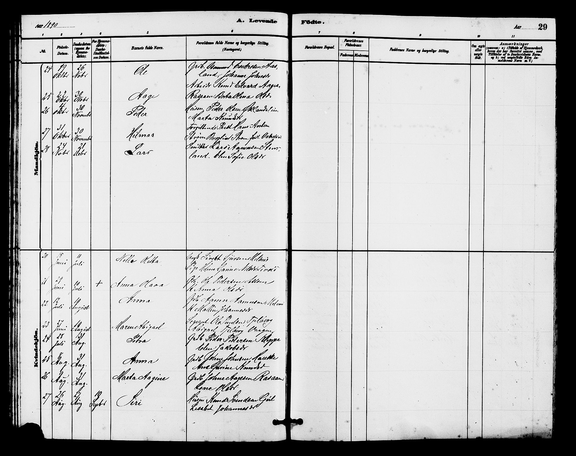 Hjelmeland sokneprestkontor, AV/SAST-A-101843/01/V/L0007: Parish register (copy) no. B 7, 1880-1909, p. 29