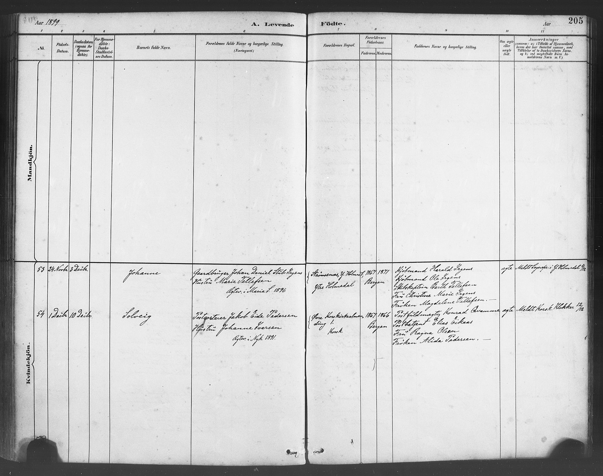 Fødselsstiftelsens sokneprestembete*, SAB/-: Parish register (official) no. A 2, 1884-1900, p. 205