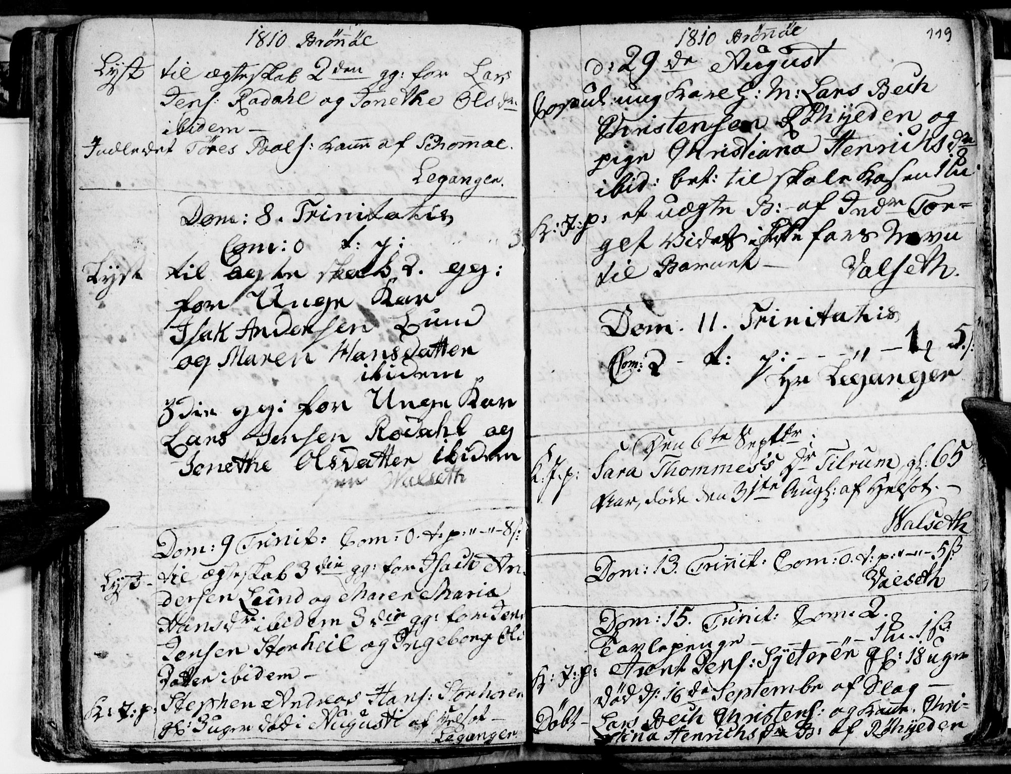 Ministerialprotokoller, klokkerbøker og fødselsregistre - Nordland, AV/SAT-A-1459/813/L0209: Parish register (copy) no. 813C01, 1803-1821, p. 119