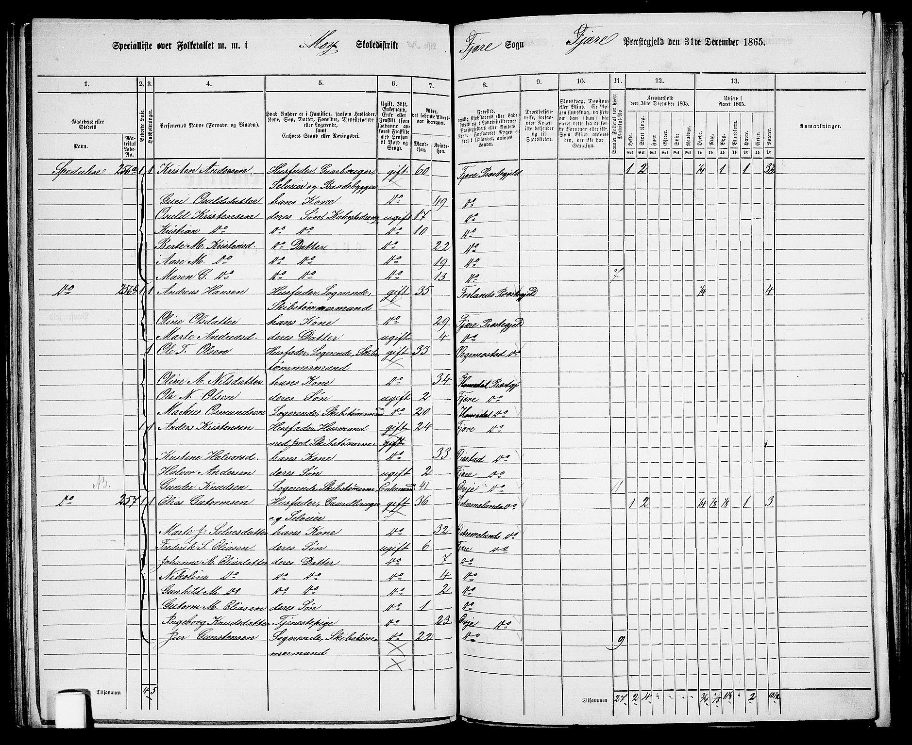 RA, 1865 census for Fjære/Fjære, 1865, p. 107