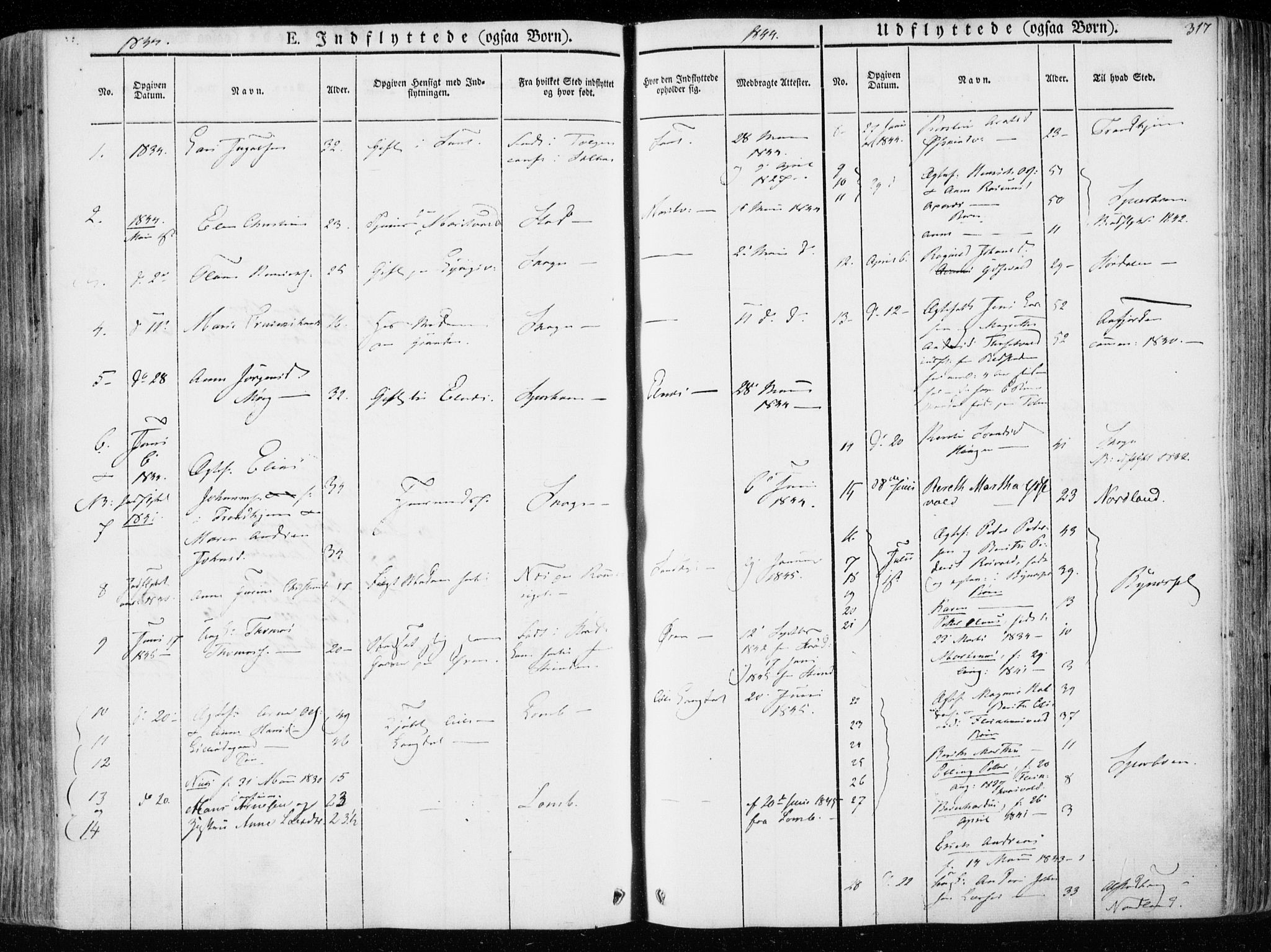Ministerialprotokoller, klokkerbøker og fødselsregistre - Nord-Trøndelag, SAT/A-1458/723/L0239: Parish register (official) no. 723A08, 1841-1851, p. 317