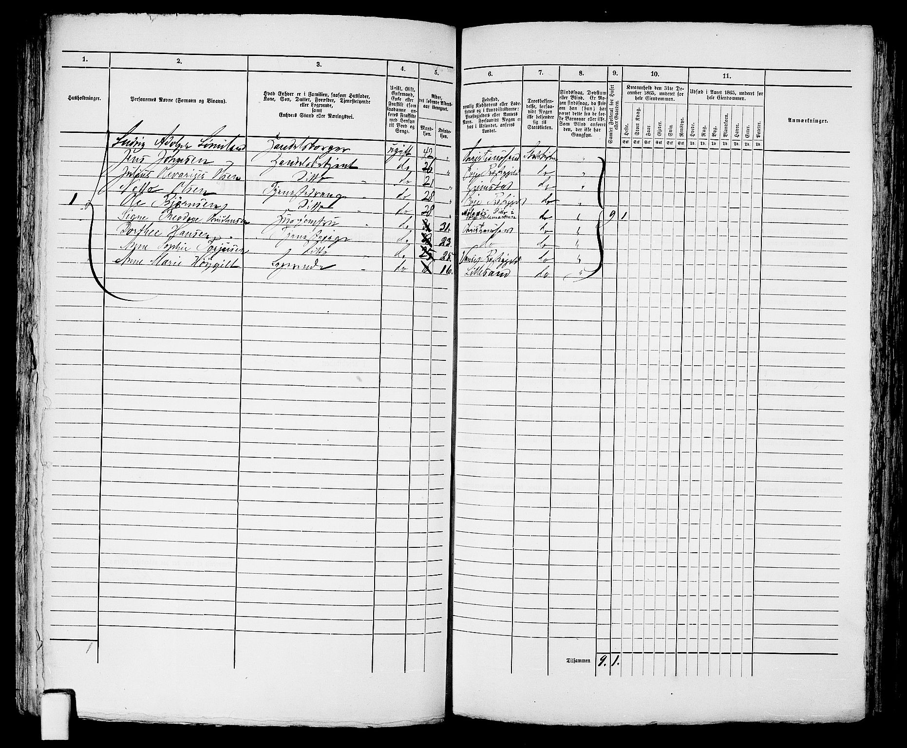 RA, 1865 census for Kristiansand, 1865, p. 216