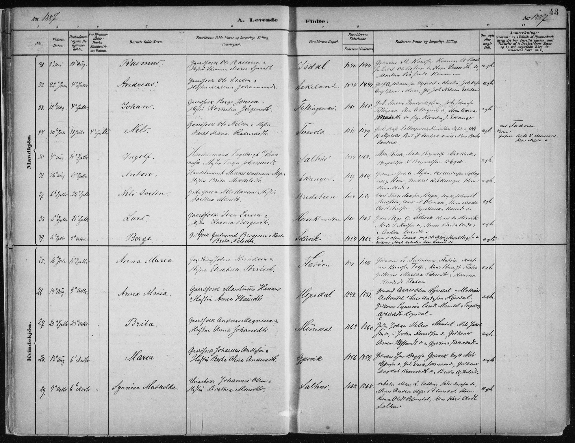 Hamre sokneprestembete, SAB/A-75501/H/Ha/Haa/Haab/L0001: Parish register (official) no. B  1, 1882-1905, p. 43