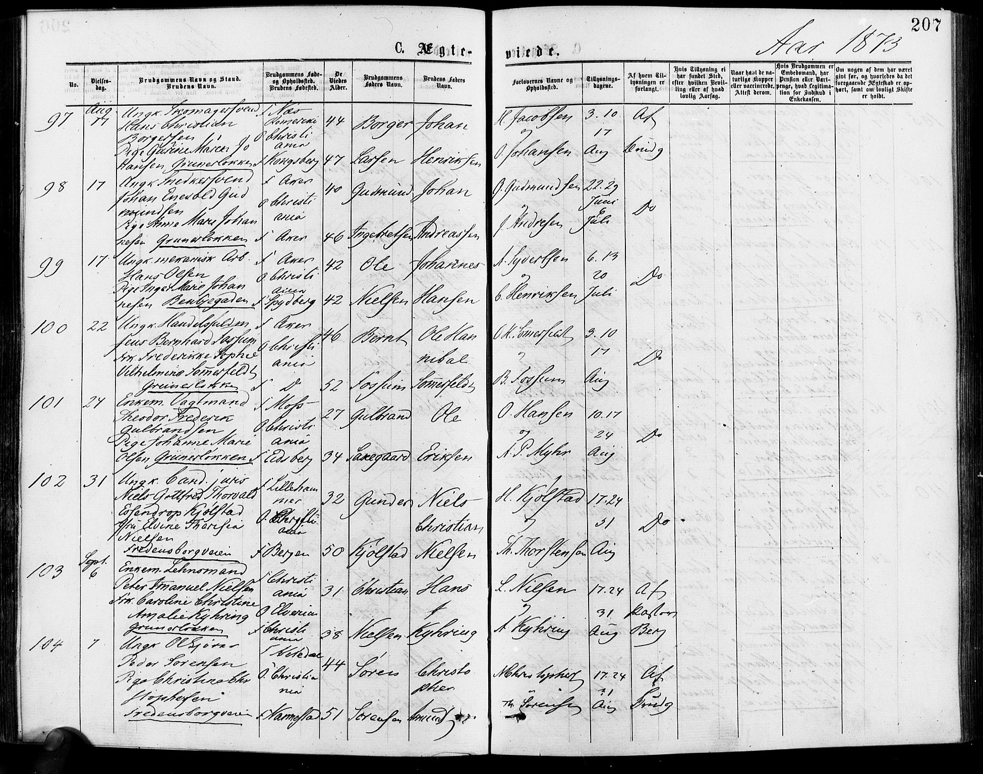 Gamle Aker prestekontor Kirkebøker, SAO/A-10617a/F/L0005: Parish register (official) no. 5, 1873-1881, p. 207