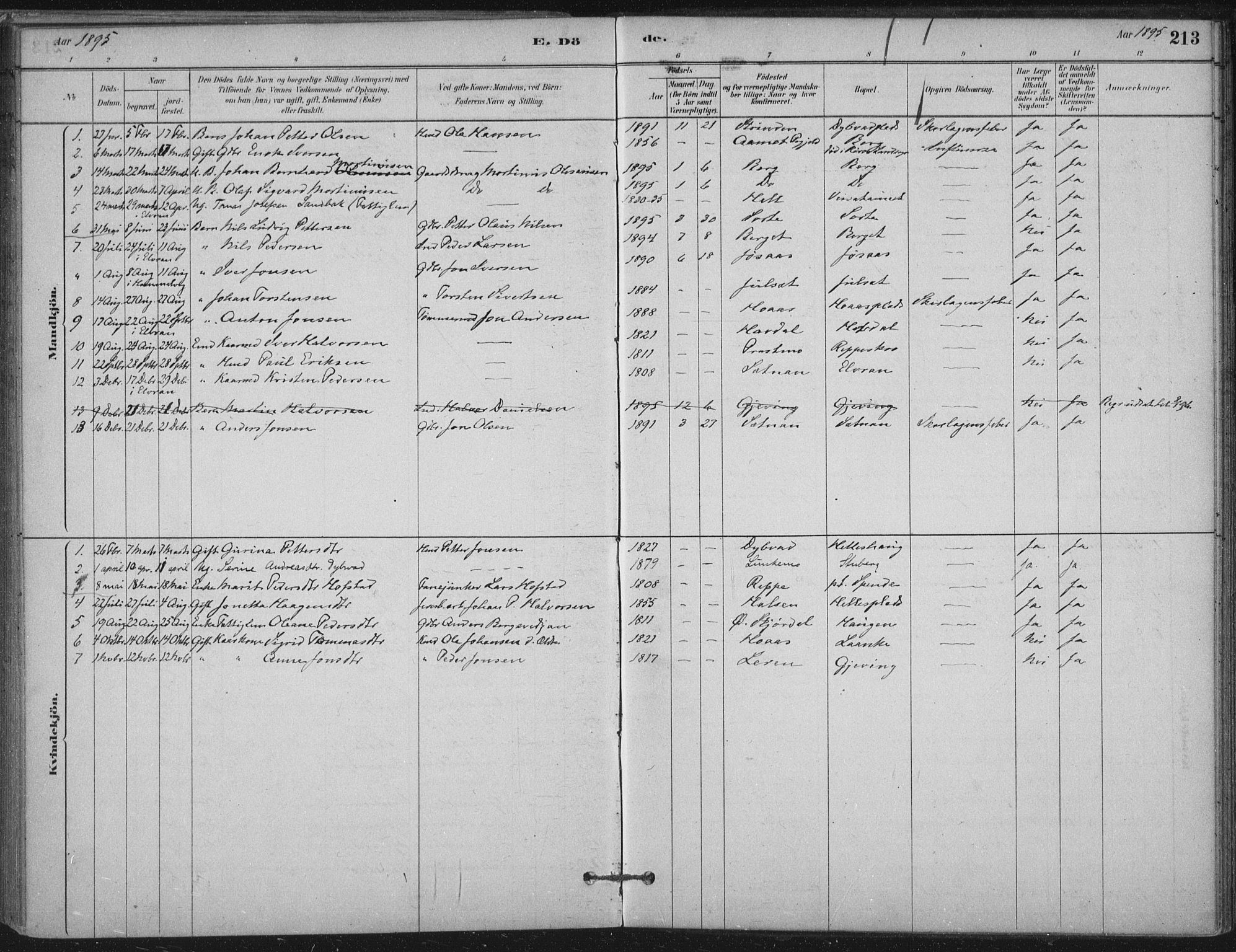 Ministerialprotokoller, klokkerbøker og fødselsregistre - Nord-Trøndelag, SAT/A-1458/710/L0095: Parish register (official) no. 710A01, 1880-1914, p. 213