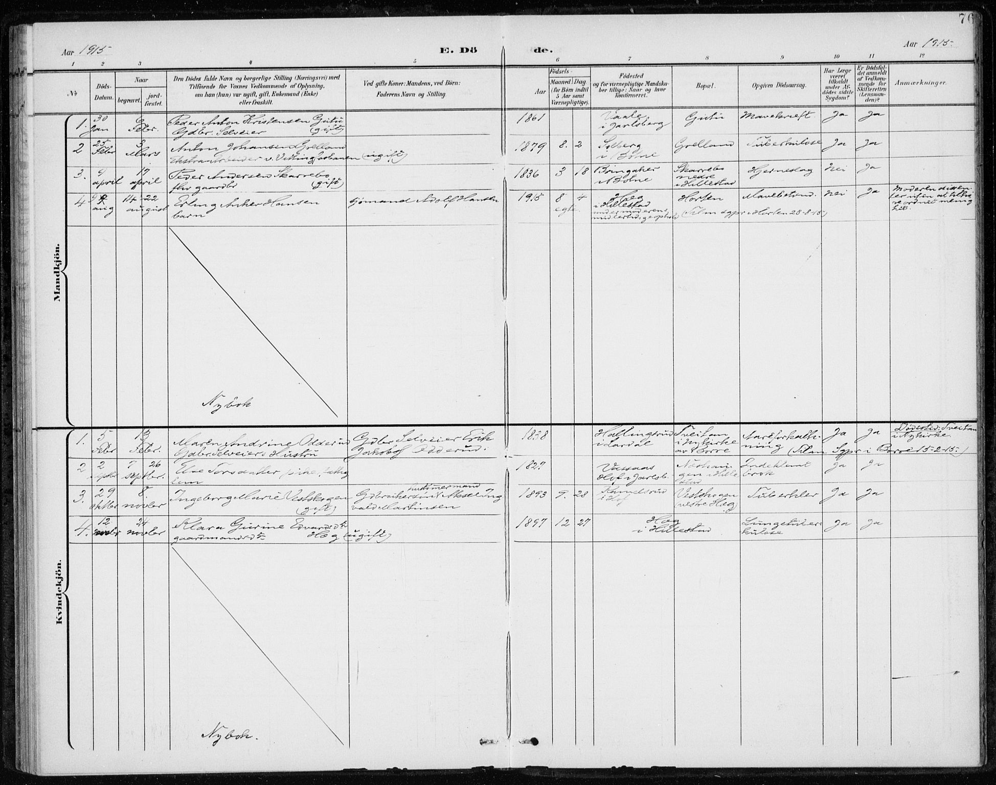 Botne kirkebøker, SAKO/A-340/F/Fb/L0002: Parish register (official) no. II 2, 1902-1915, p. 76