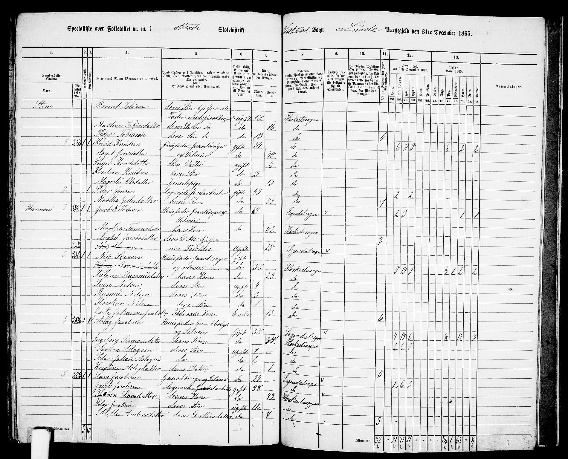 RA, 1865 census for Lund, 1865, p. 100