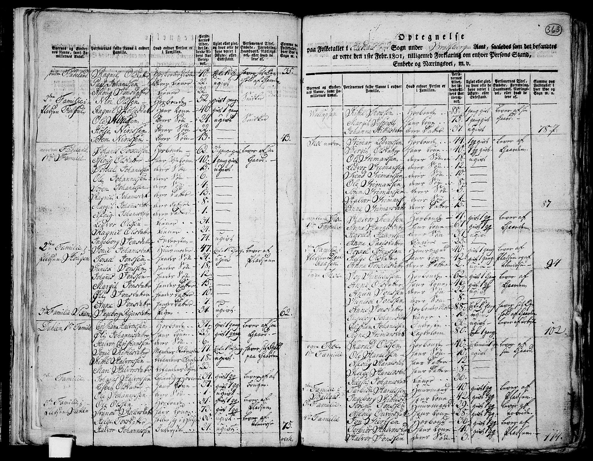 RA, 1801 census for 0827P Hjartdal, 1801, p. 362b-363a