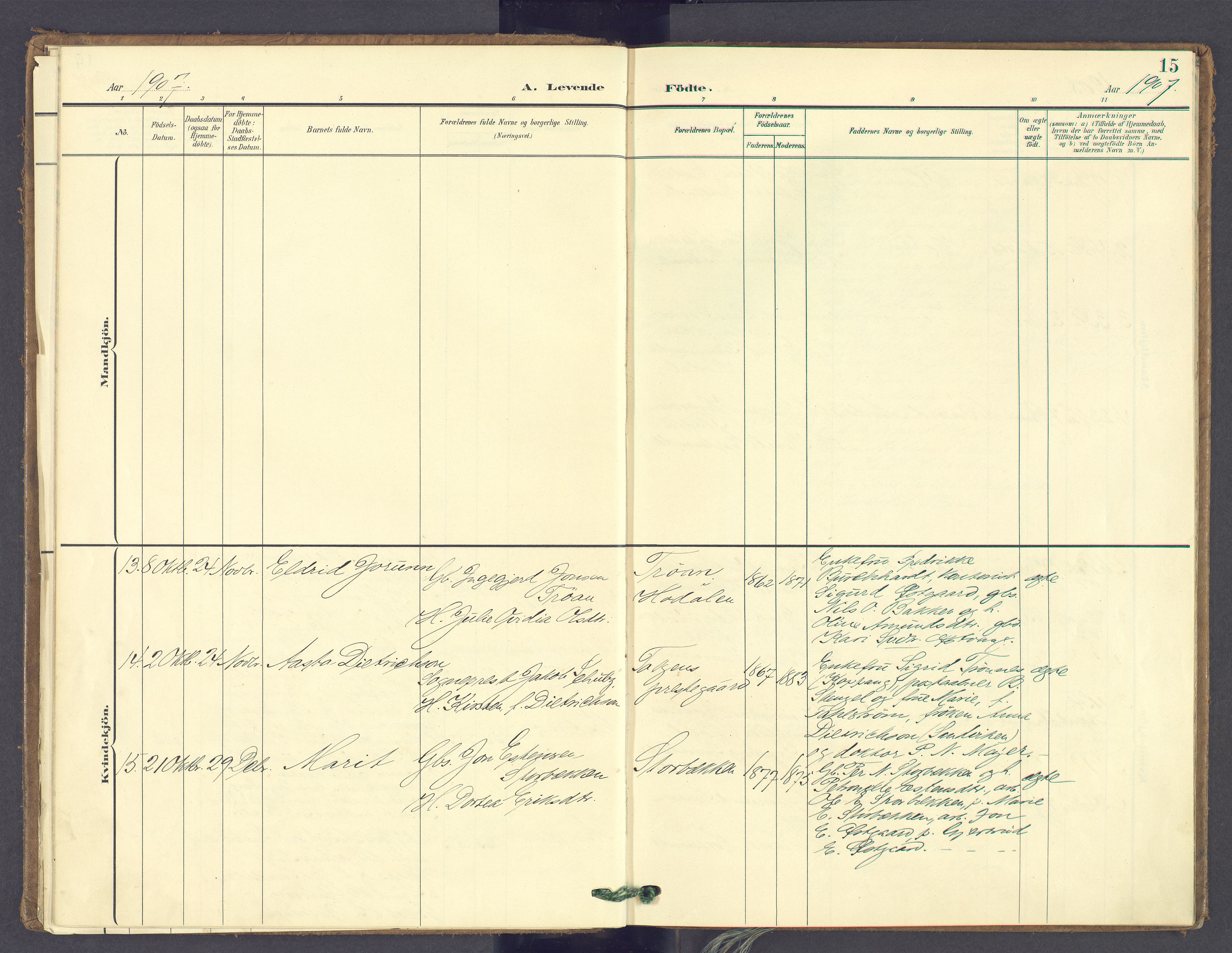 Tolga prestekontor, SAH/PREST-062/K/L0014: Parish register (official) no. 14, 1903-1929, p. 15