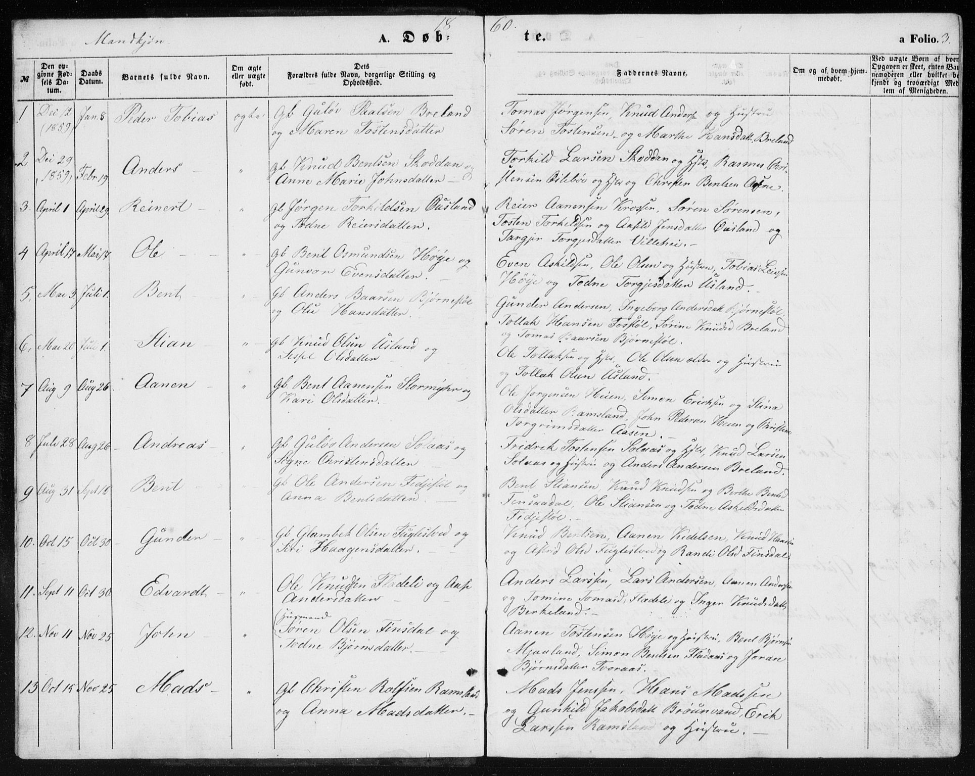 Holum sokneprestkontor, SAK/1111-0022/F/Fb/Fbc/L0002: Parish register (copy) no. B 2, 1860-1882, p. 3