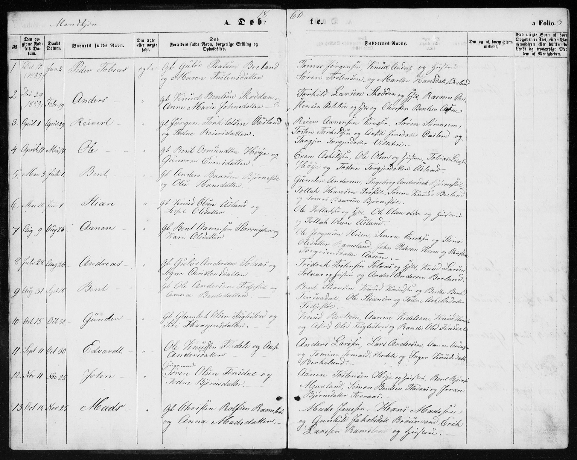 Holum sokneprestkontor, AV/SAK-1111-0022/F/Fb/Fbc/L0002: Parish register (copy) no. B 2, 1860-1882, p. 3