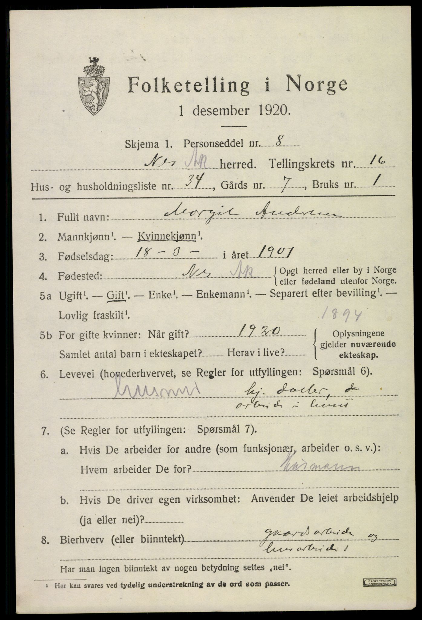 SAO, 1920 census for Nes, 1920, p. 16156