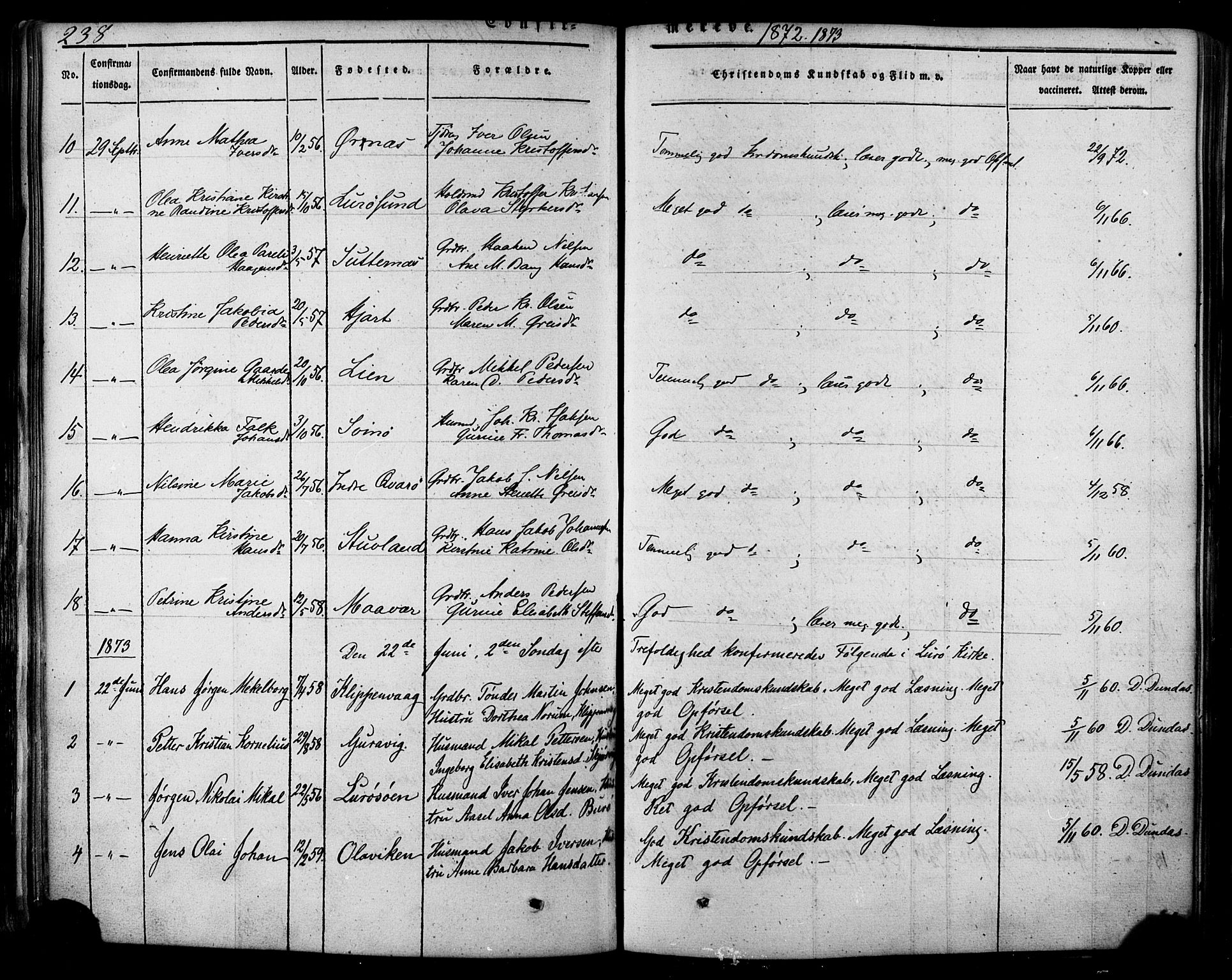 Ministerialprotokoller, klokkerbøker og fødselsregistre - Nordland, SAT/A-1459/839/L0567: Parish register (official) no. 839A04, 1863-1879, p. 238