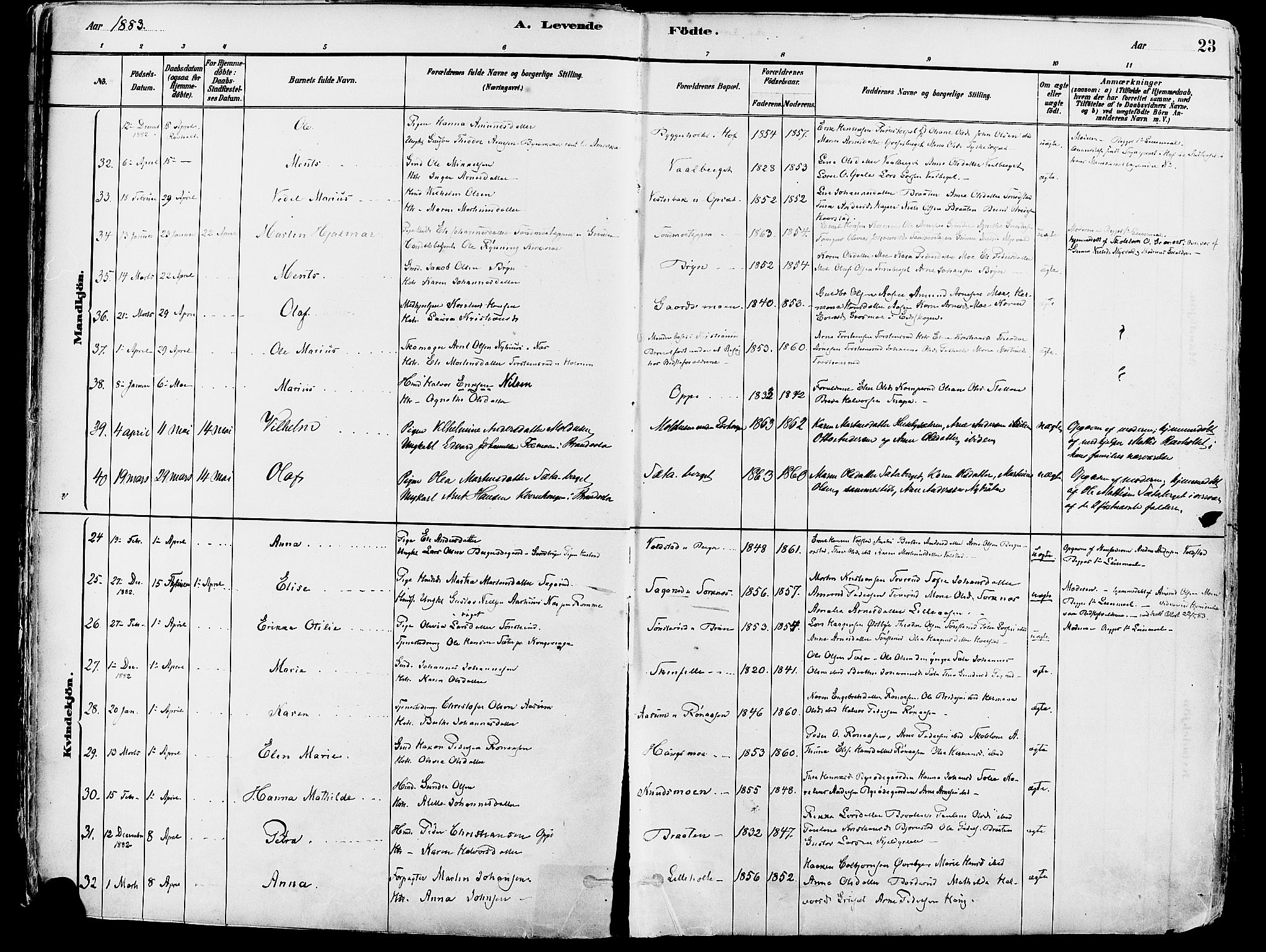 Grue prestekontor, AV/SAH-PREST-036/H/Ha/Haa/L0012: Parish register (official) no. 12, 1881-1897, p. 23