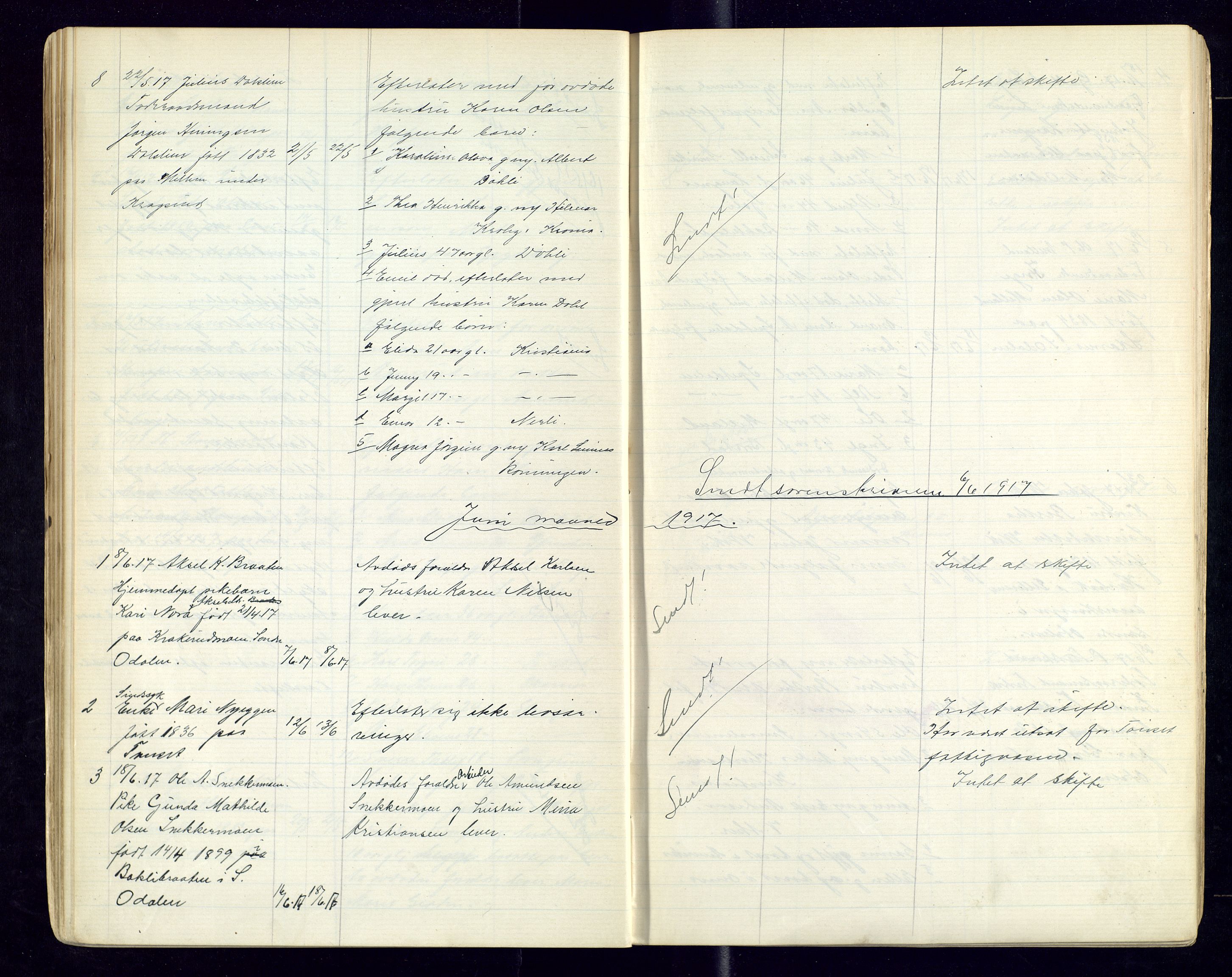 Sør-Odal lensmannskontor, AV/SAH-LHS-022/H/Hb/L0002/0002: Protokoller over anmeldte dødsfall / Protokoll over anmeldte dødsfall, 1915-1921