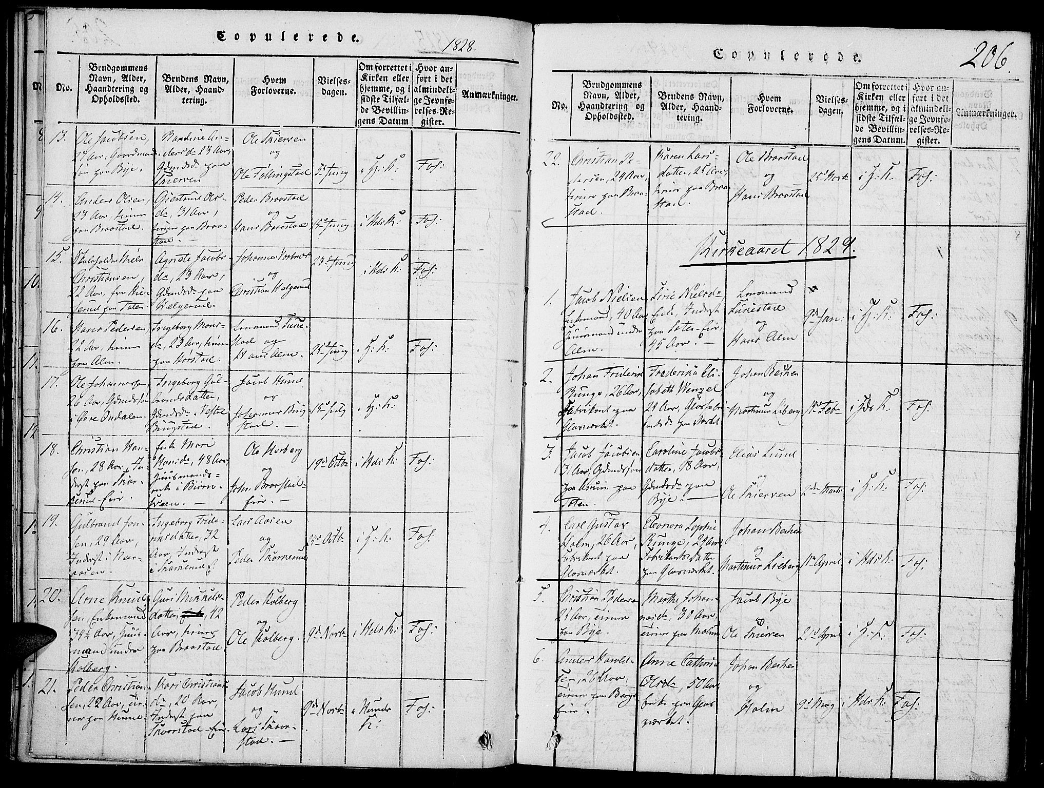 Vardal prestekontor, SAH/PREST-100/H/Ha/Haa/L0004: Parish register (official) no. 4, 1814-1831, p. 206