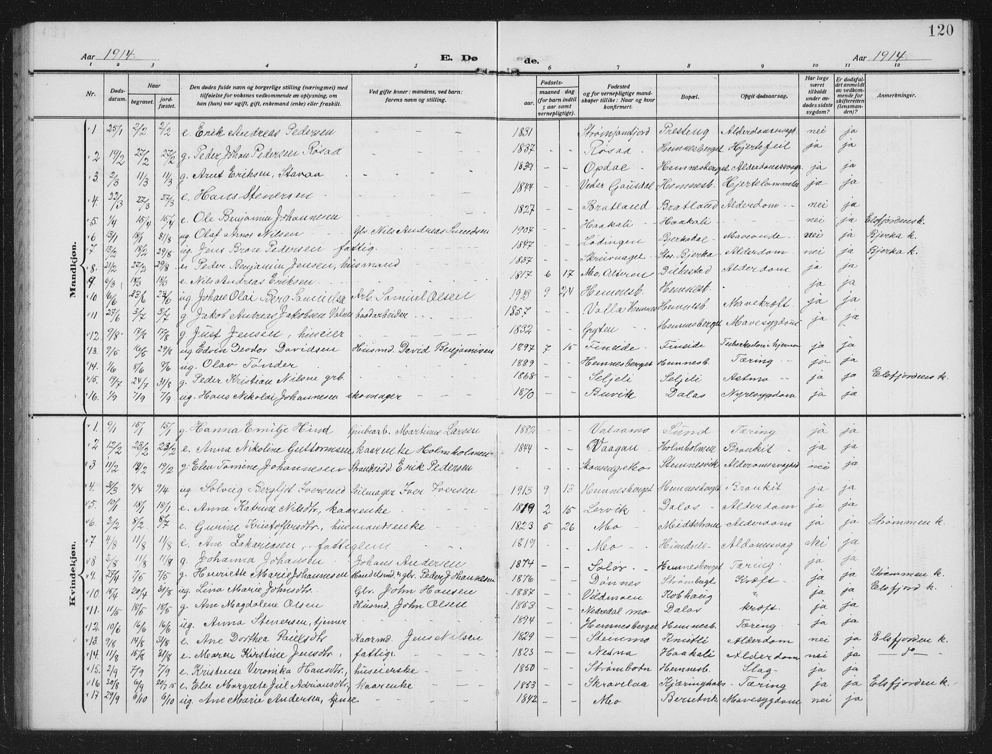 Ministerialprotokoller, klokkerbøker og fødselsregistre - Nordland, AV/SAT-A-1459/825/L0371: Parish register (copy) no. 825C08, 1907-1940, p. 120