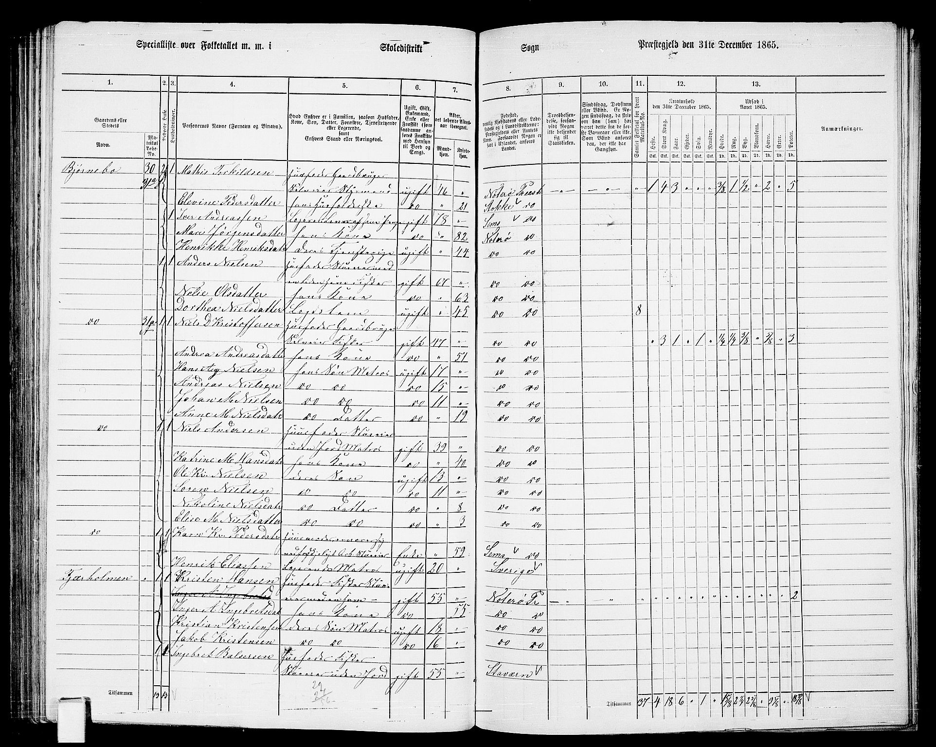 RA, 1865 census for Nøtterøy, 1865, p. 182