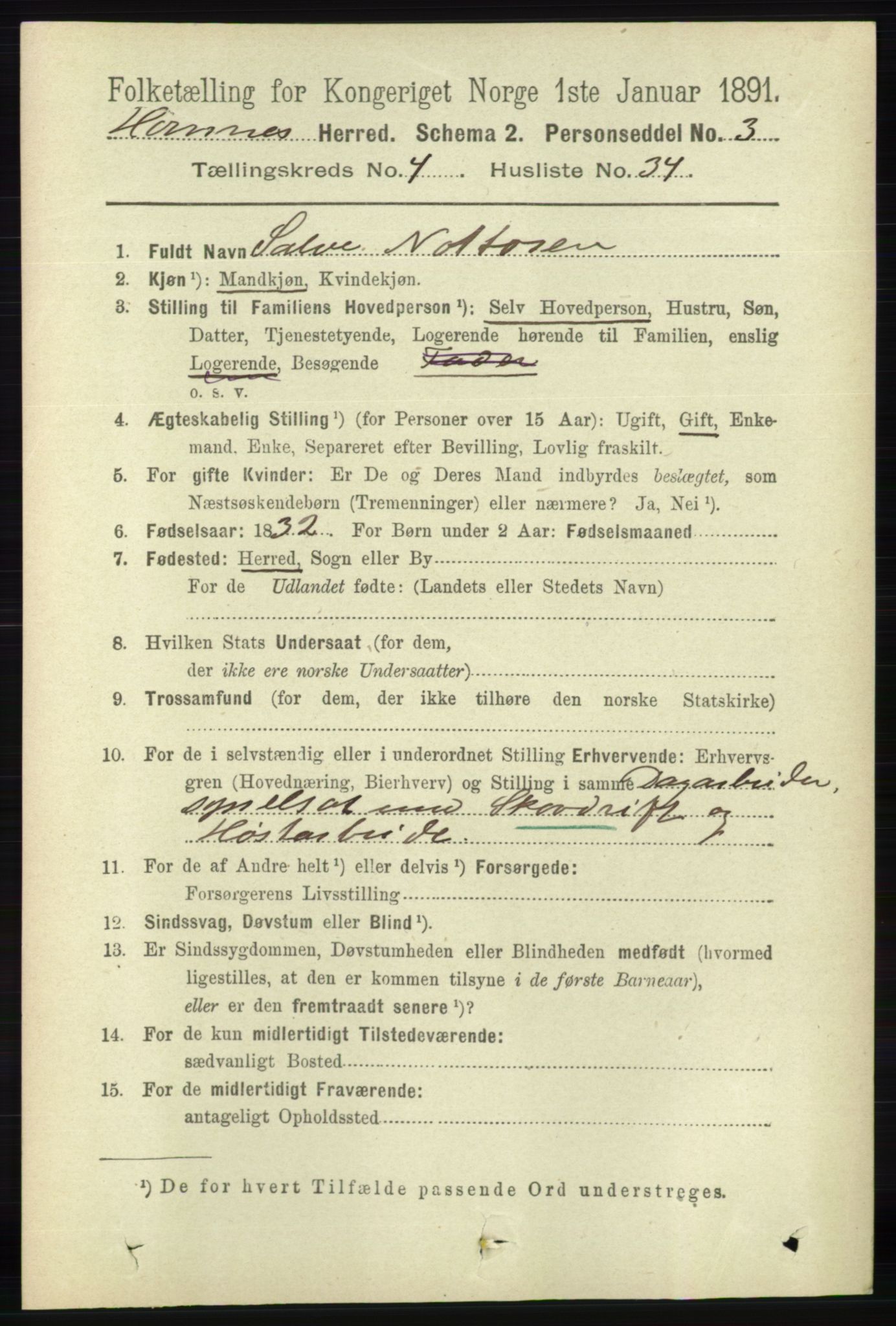 RA, 1891 census for 0936 Hornnes, 1891, p. 1316