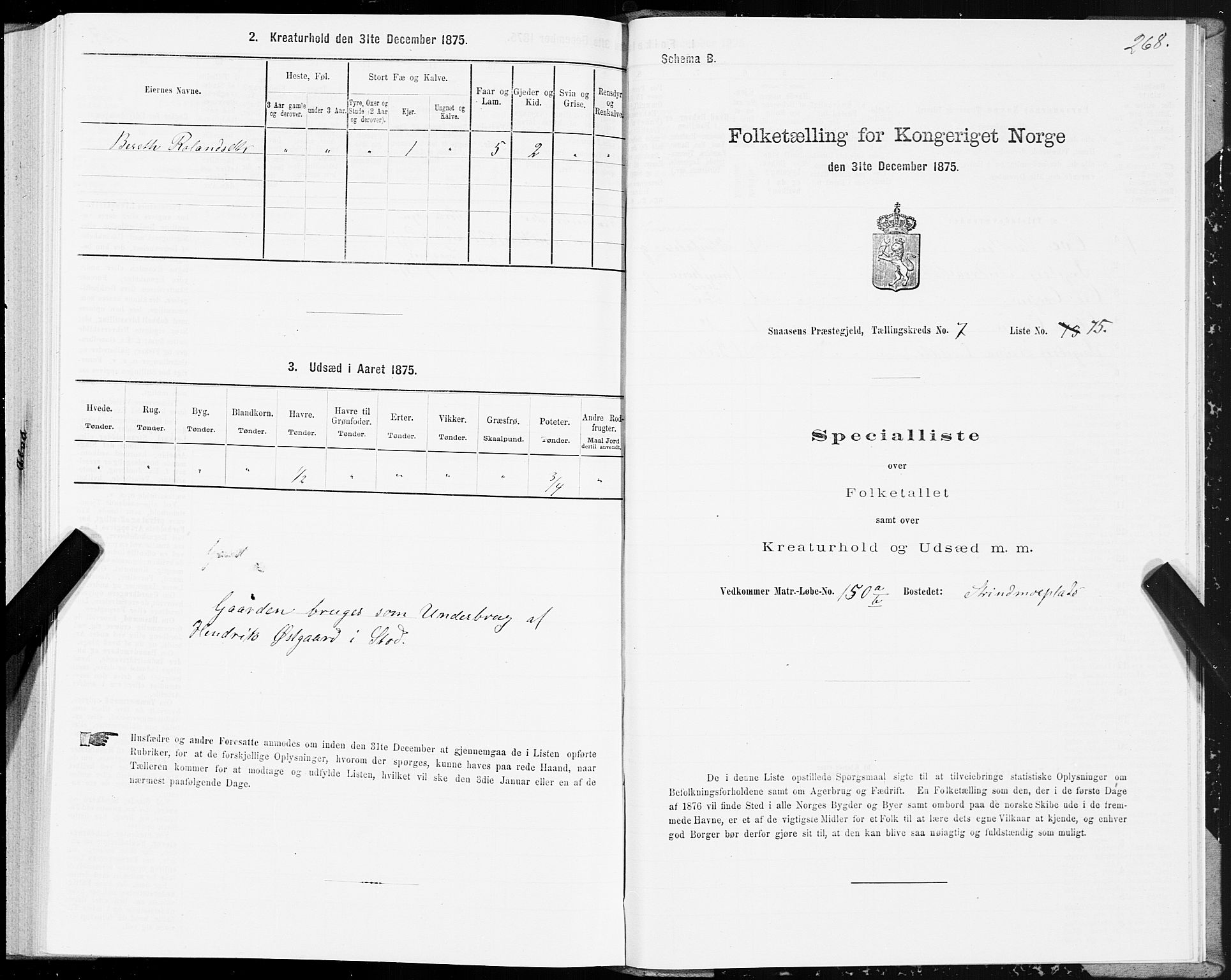 SAT, 1875 census for 1736P Snåsa, 1875, p. 3268