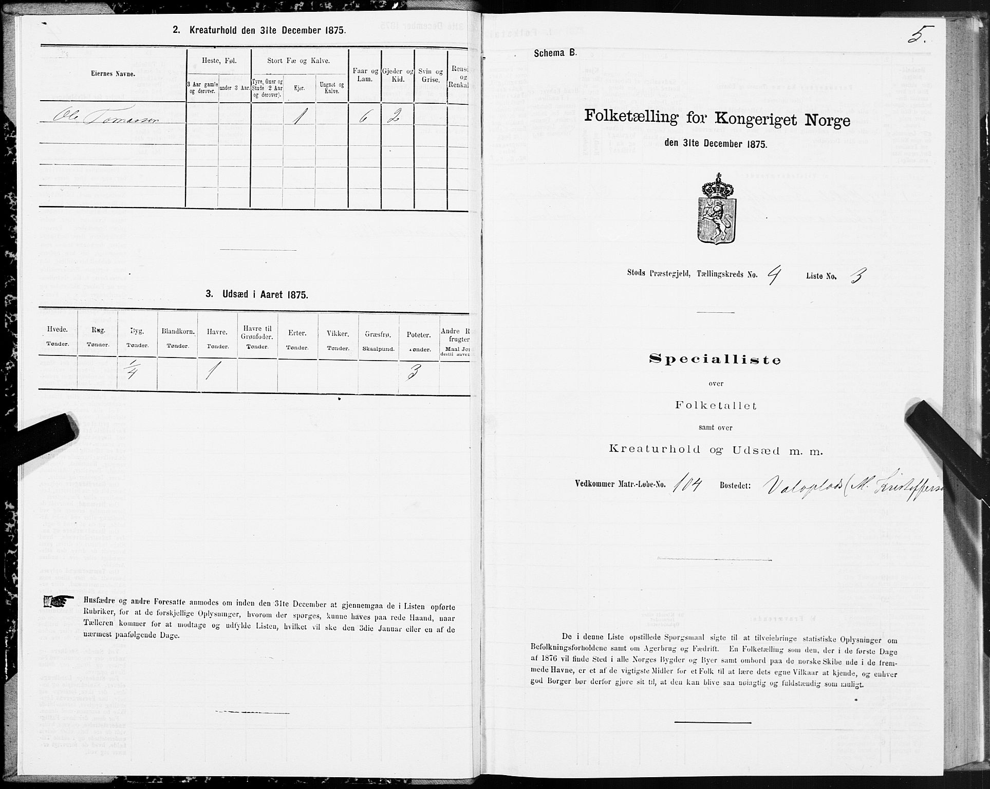 SAT, 1875 census for 1734P Stod, 1875, p. 4005