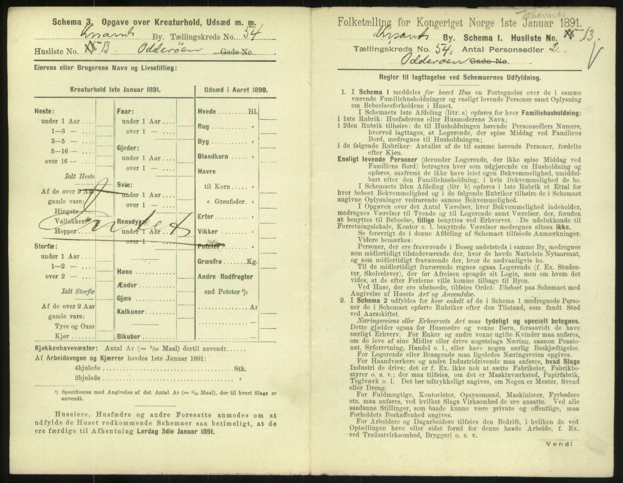 RA, 1891 census for 1001 Kristiansand, 1891, p. 2804