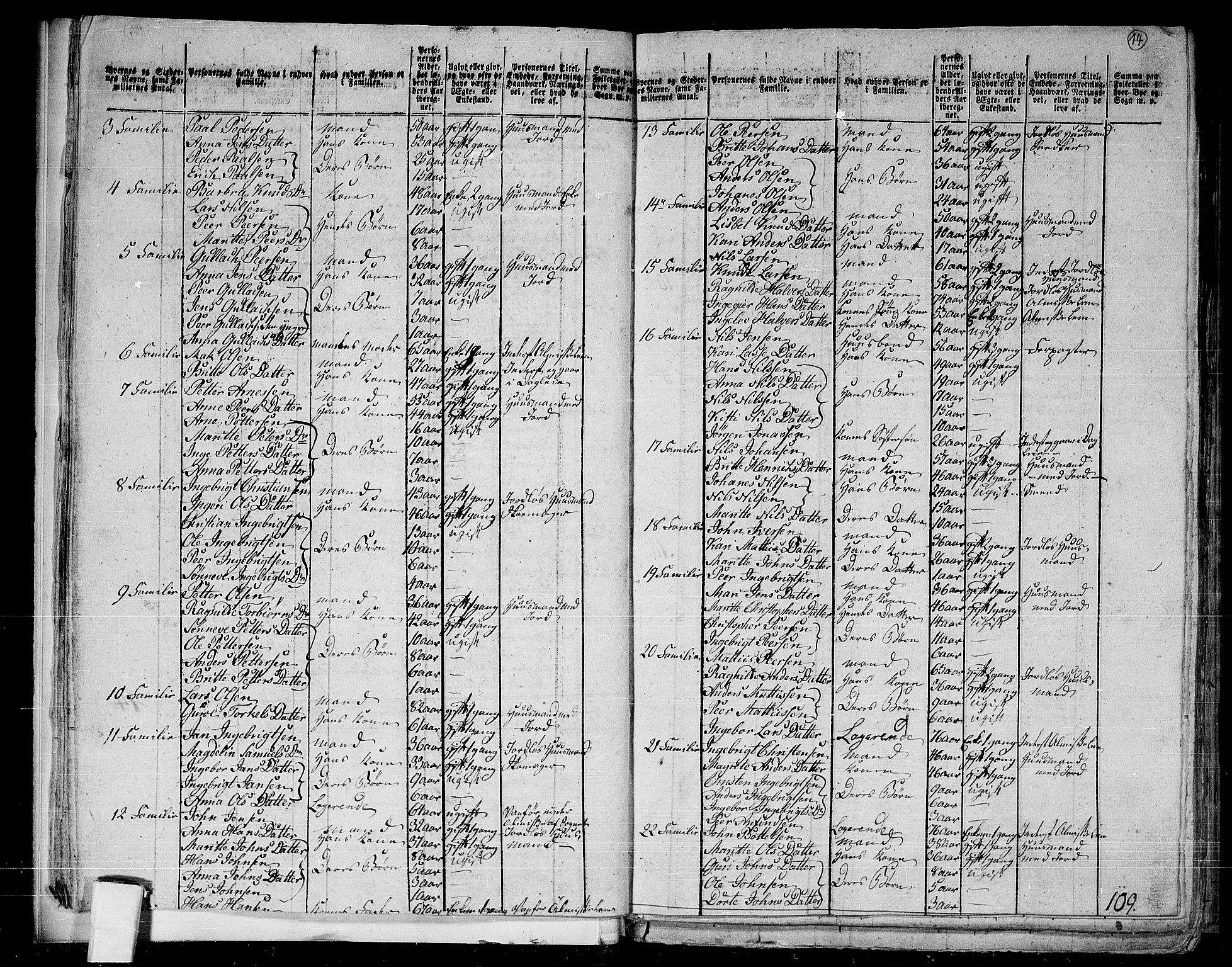 RA, 1801 census for 1422P Lærdal, 1801, p. 13b-14a