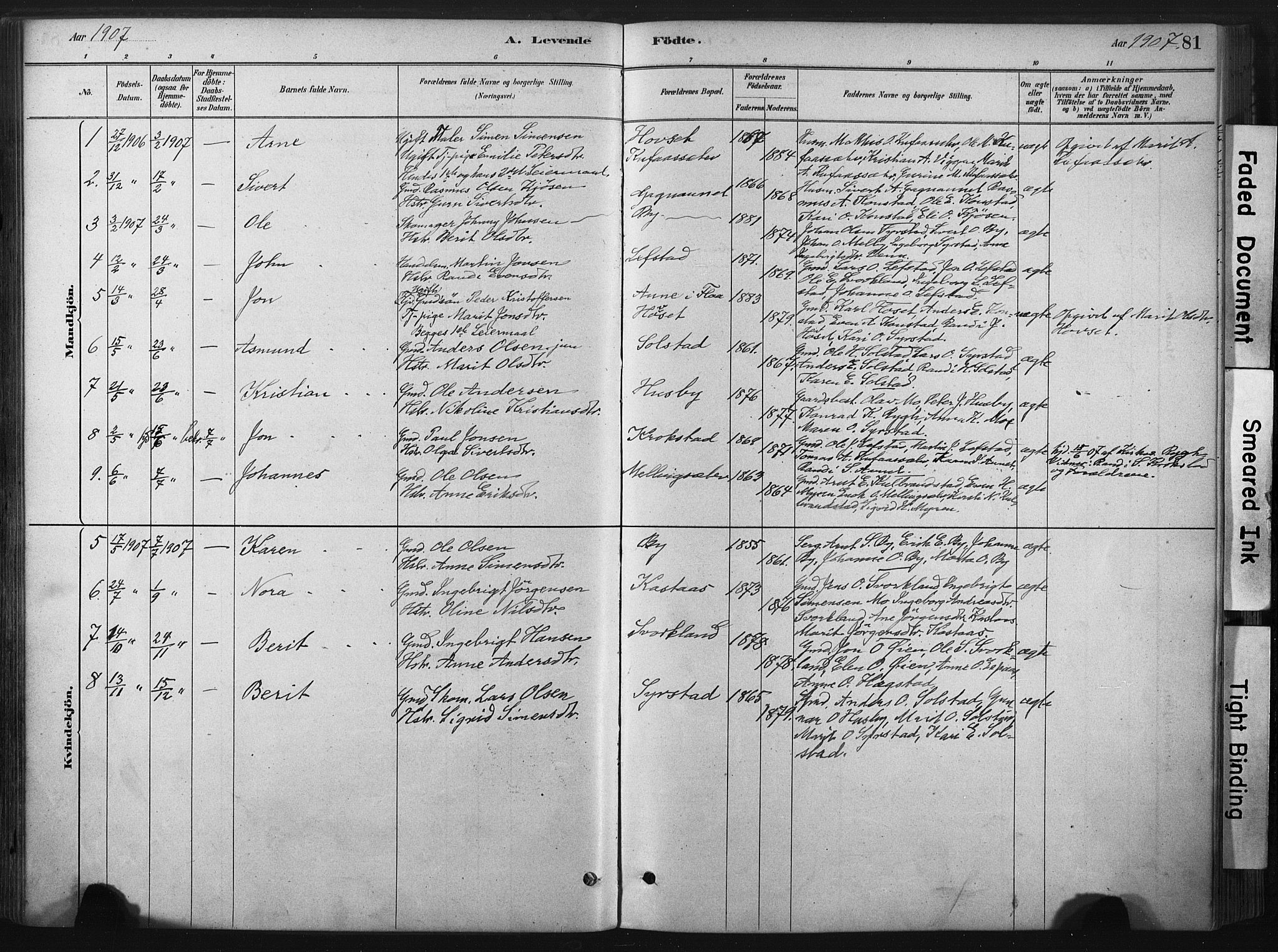 Ministerialprotokoller, klokkerbøker og fødselsregistre - Sør-Trøndelag, SAT/A-1456/667/L0795: Parish register (official) no. 667A03, 1879-1907, p. 81