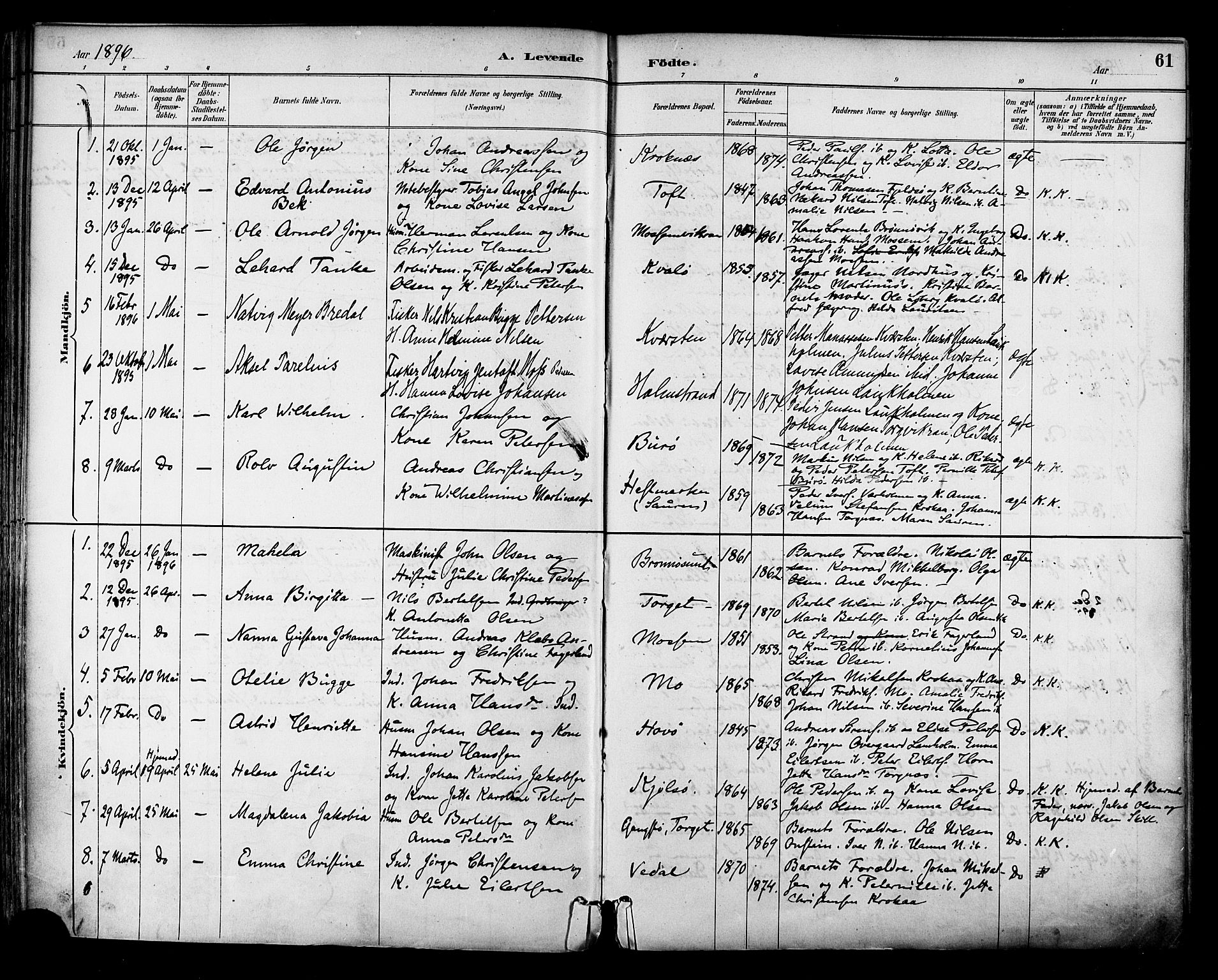 Ministerialprotokoller, klokkerbøker og fødselsregistre - Nordland, SAT/A-1459/813/L0200: Parish register (official) no. 813A10, 1886-1900, p. 61