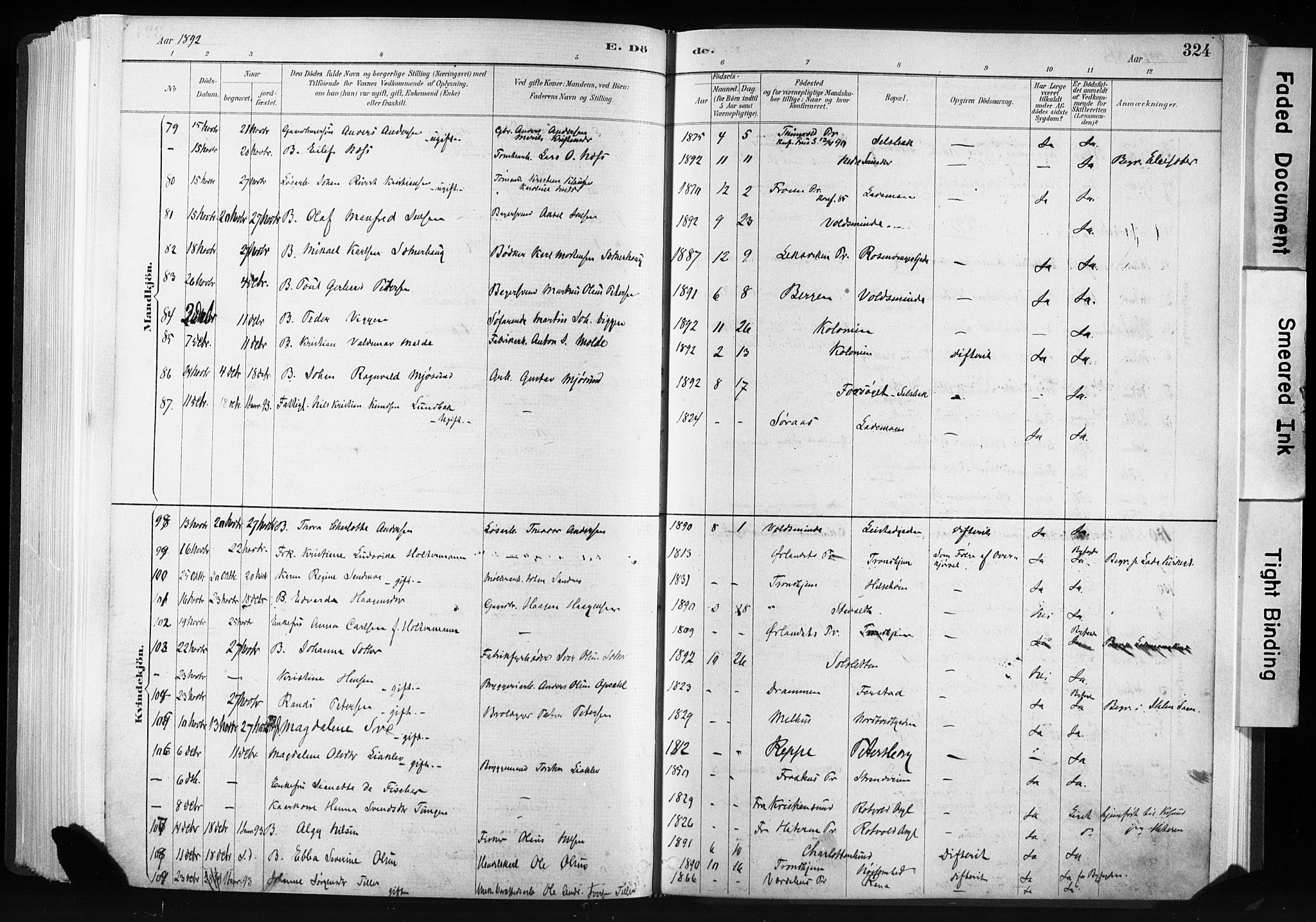 Ministerialprotokoller, klokkerbøker og fødselsregistre - Sør-Trøndelag, AV/SAT-A-1456/606/L0300: Parish register (official) no. 606A15, 1886-1893, p. 324