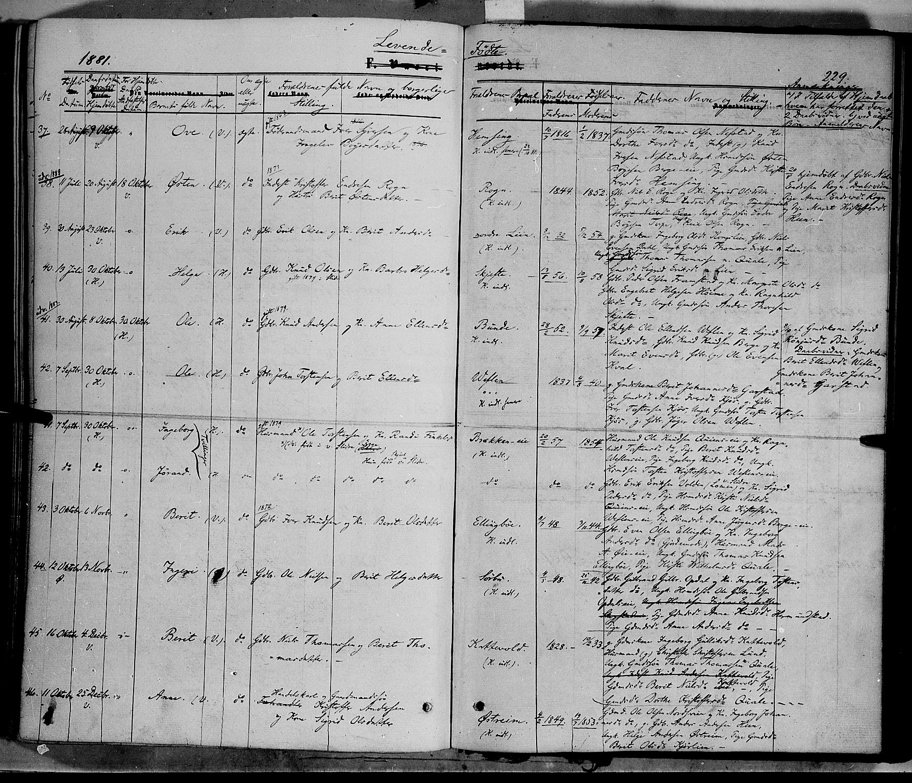 Vang prestekontor, Valdres, AV/SAH-PREST-140/H/Ha/L0007: Parish register (official) no. 7, 1865-1881, p. 229