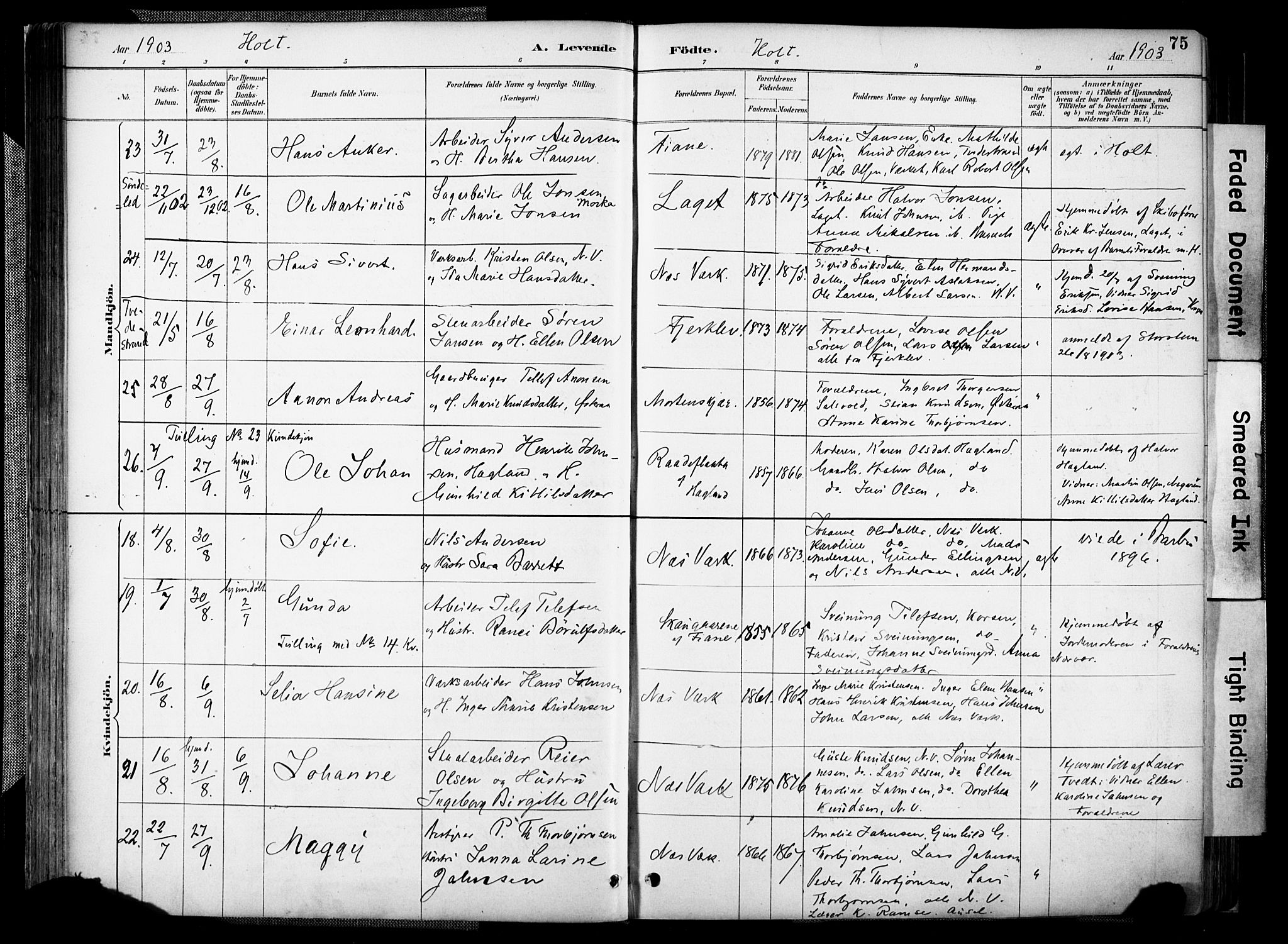 Holt sokneprestkontor, AV/SAK-1111-0021/F/Fa/L0012: Parish register (official) no. A 12, 1885-1907, p. 75