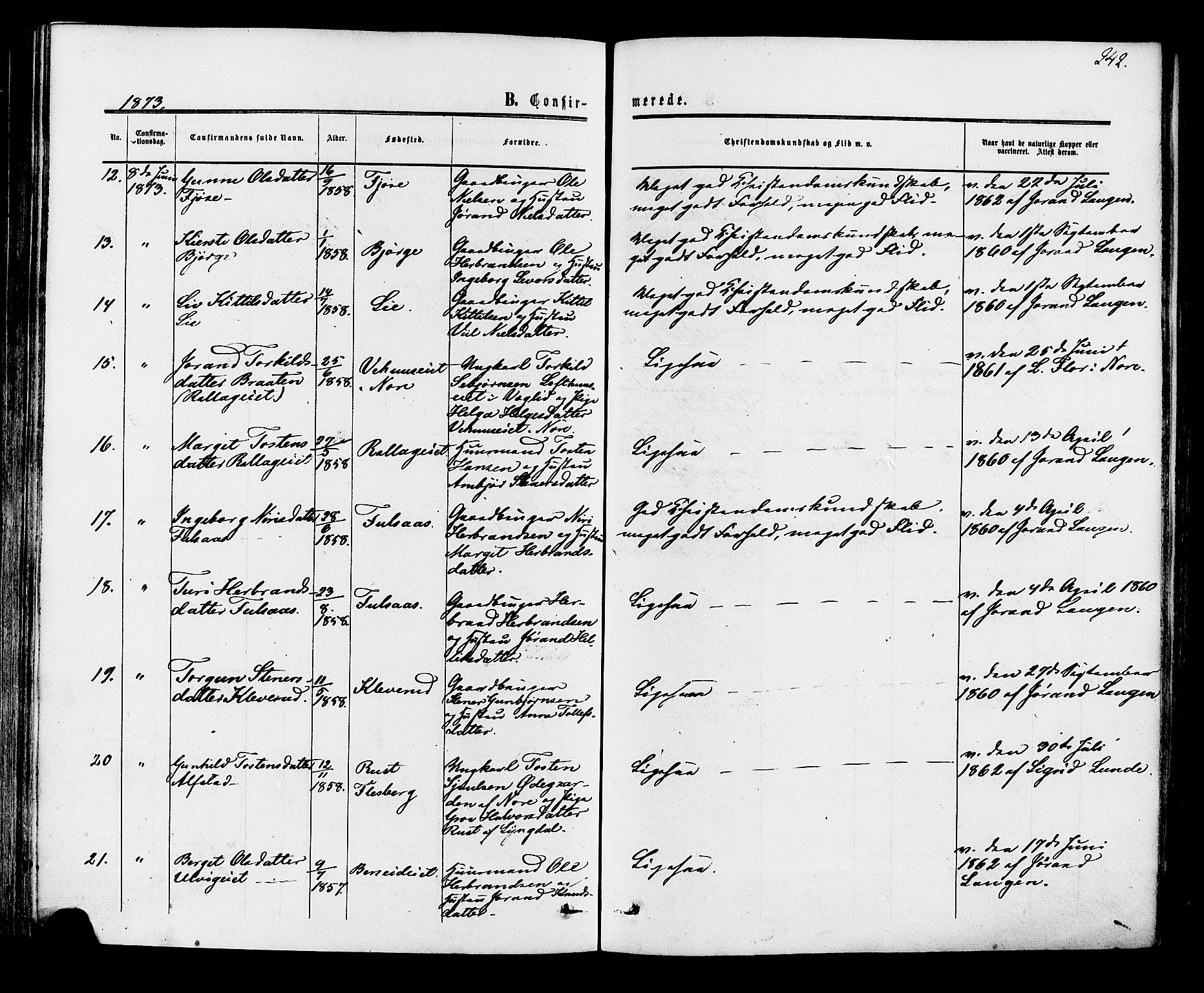 Rollag kirkebøker, AV/SAKO-A-240/F/Fa/L0009: Parish register (official) no. I 9, 1860-1874, p. 242