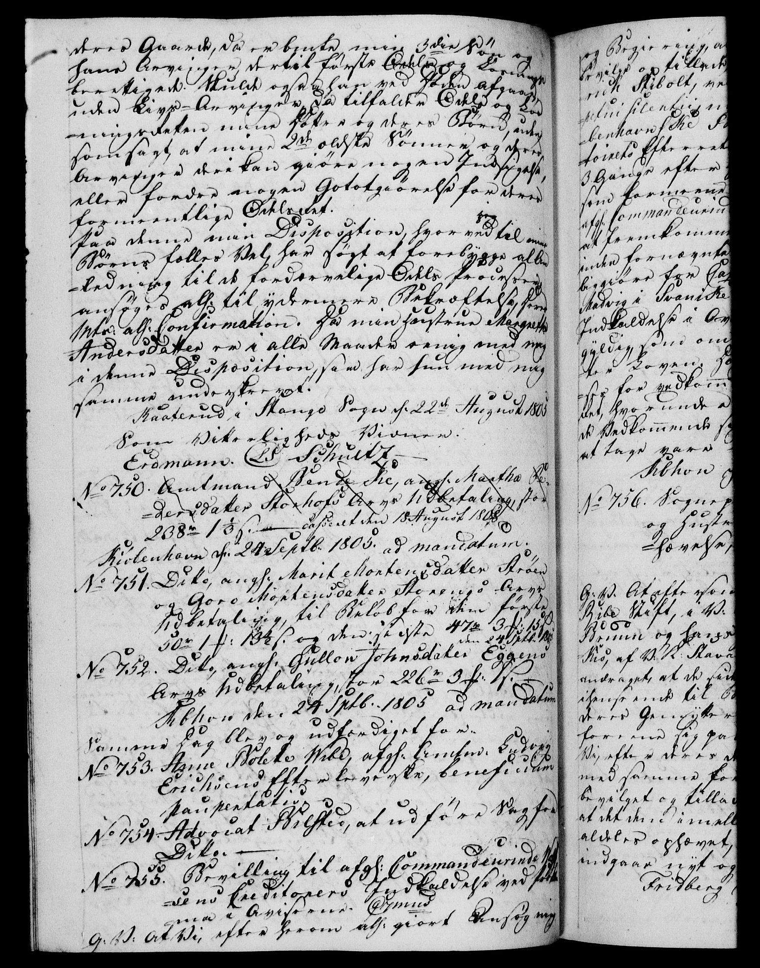 Danske Kanselli 1800-1814, AV/RA-EA-3024/H/Hf/Hfb/Hfba/L0003: Registranter, 1805-1807, p. 116b