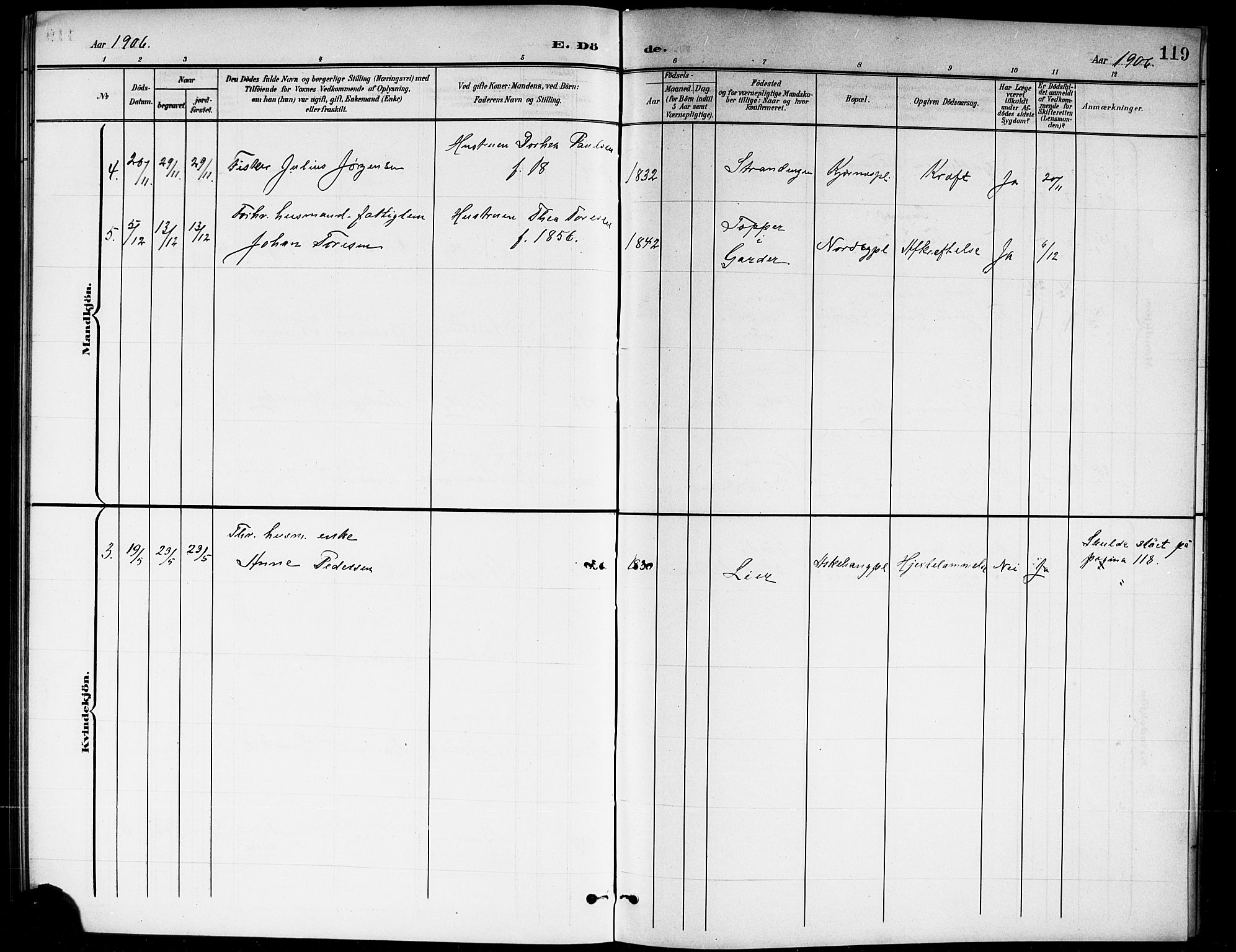 Ås prestekontor Kirkebøker, SAO/A-10894/G/Gb/L0001: Parish register (copy) no. II 1, 1901-1920, p. 119