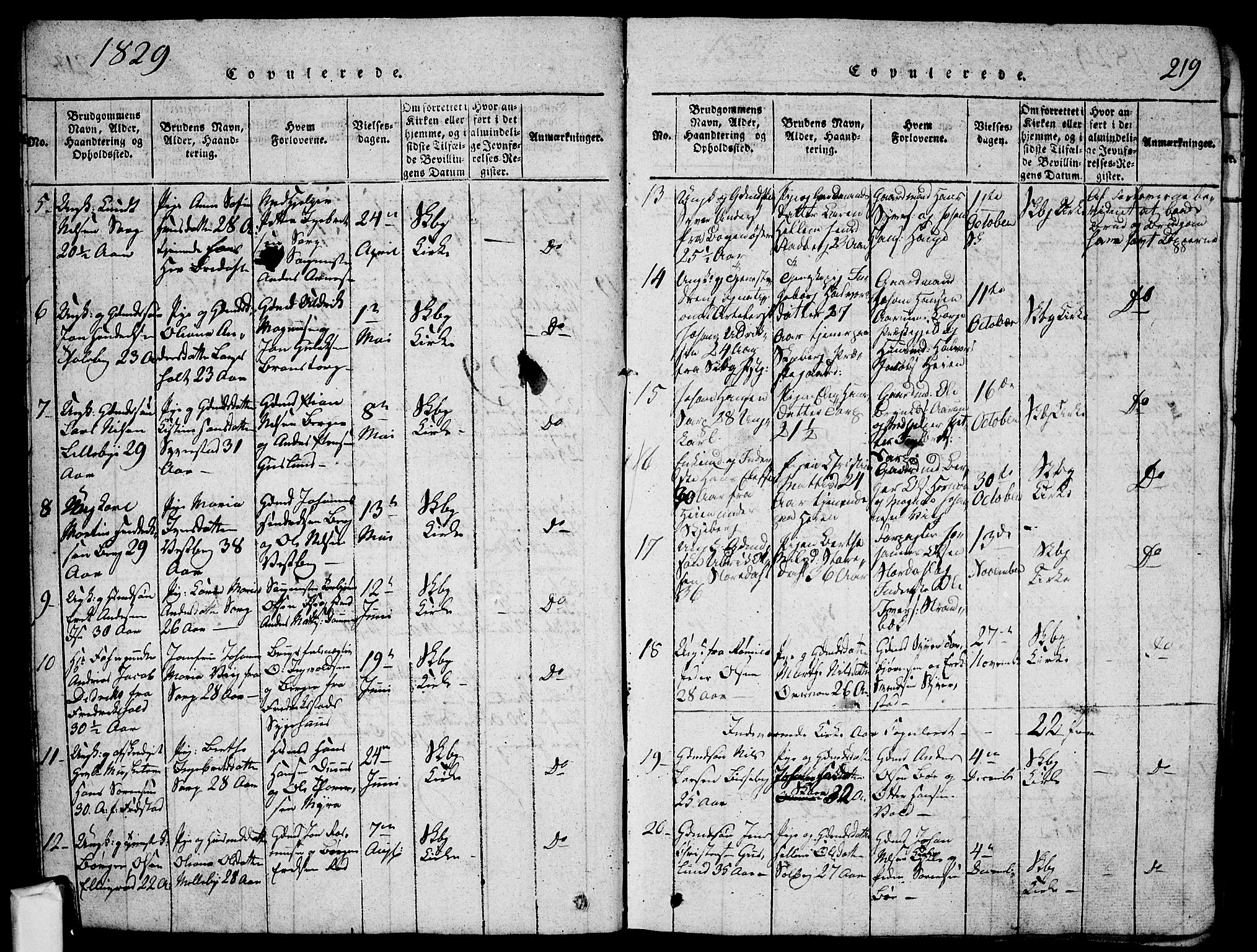 Skjeberg prestekontor Kirkebøker, SAO/A-10923/G/Ga/L0001: Parish register (copy) no. I 1, 1815-1830, p. 219
