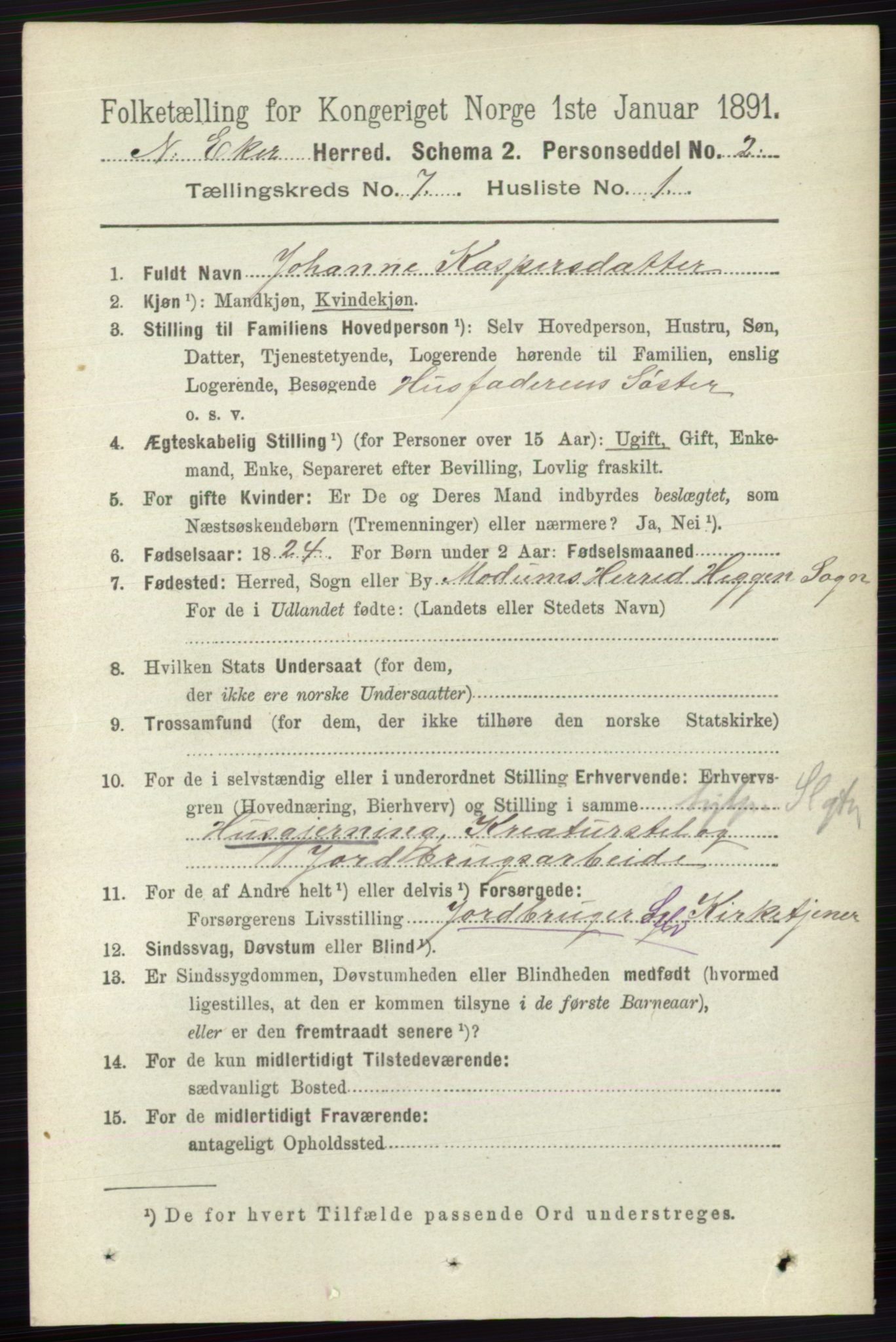 RA, 1891 census for 0625 Nedre Eiker, 1891, p. 3406